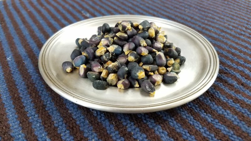 Scaled Blue Corn.jpg