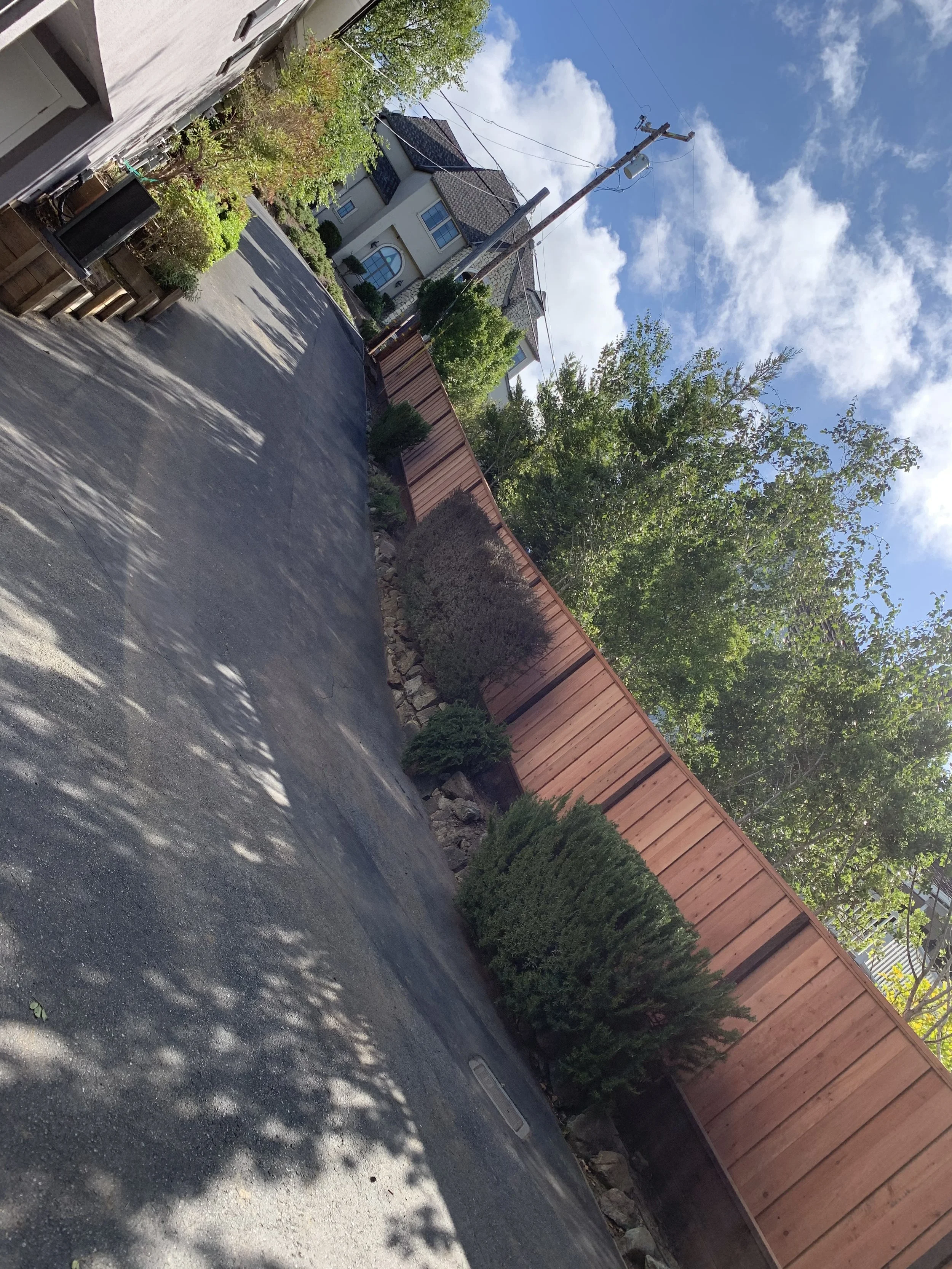 IMG_2517.jpeg