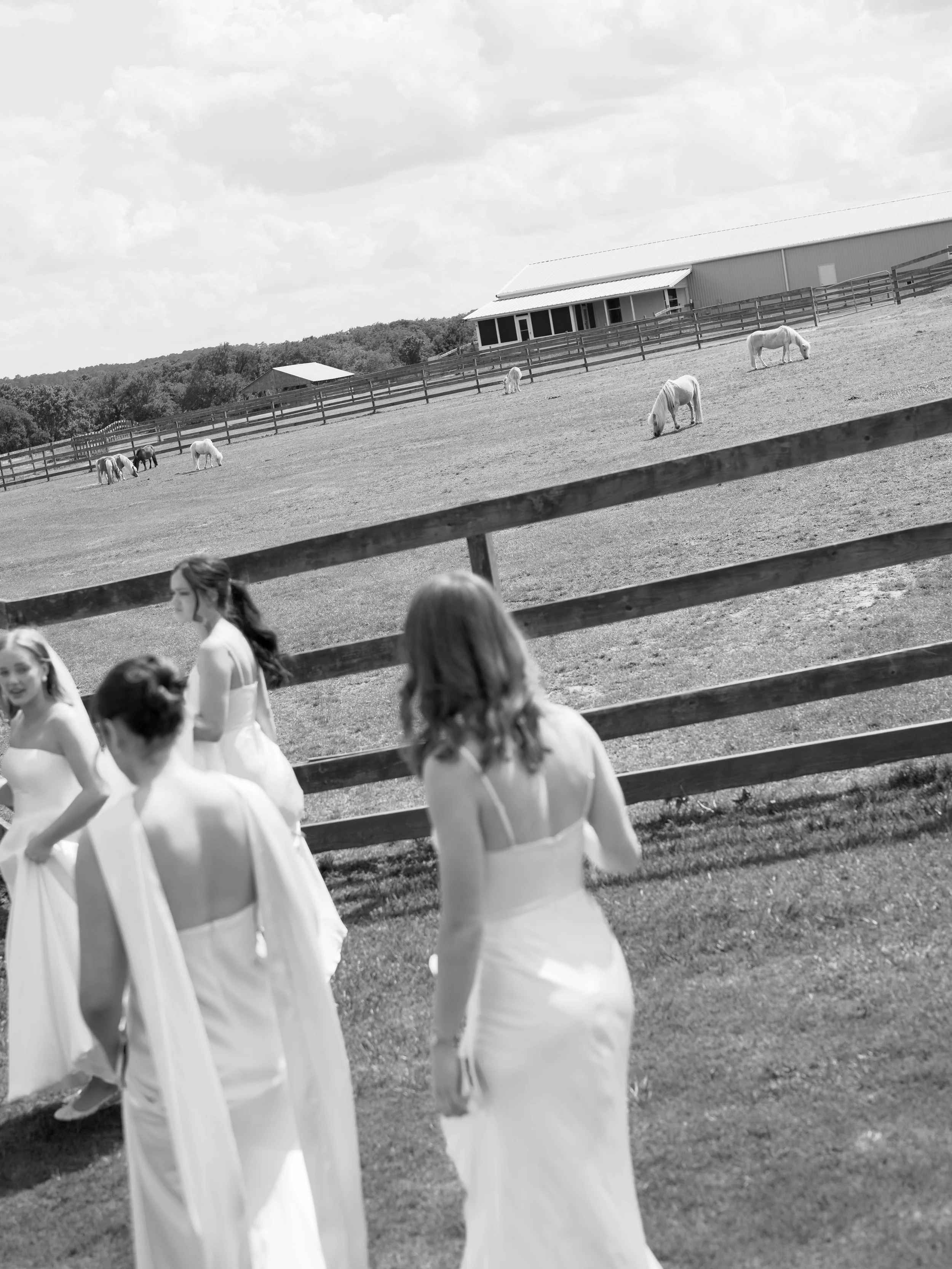 The Webbers - Bride & Groom Portraits-14.jpg