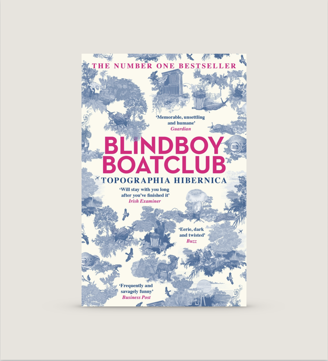 Book cover for 'Blindboy Boatclub: Topographia Hibernica' with light blue illustrations of trees, animals, and nature scenes, and bold pink and blue text.
