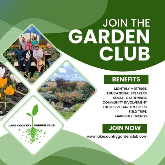 ✨Join the Club! ✨

Do you love to or aspire to garden? Are you looking for ways to connect with other gardeners? Want to have fun and give back to your community? 🌻

The Lake Country Garden Club is community of gardeners learning and sharing our lov