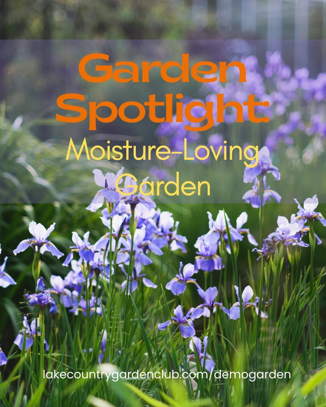 Garden Spotlight: Moisture-Loving Garden
The Moisture-Loving Garden will demonstrate how to garden successfully in wetter areas or low spots by choosing plants that naturally thrive with more water.
This garden offers ideas for rain gardens, drainage