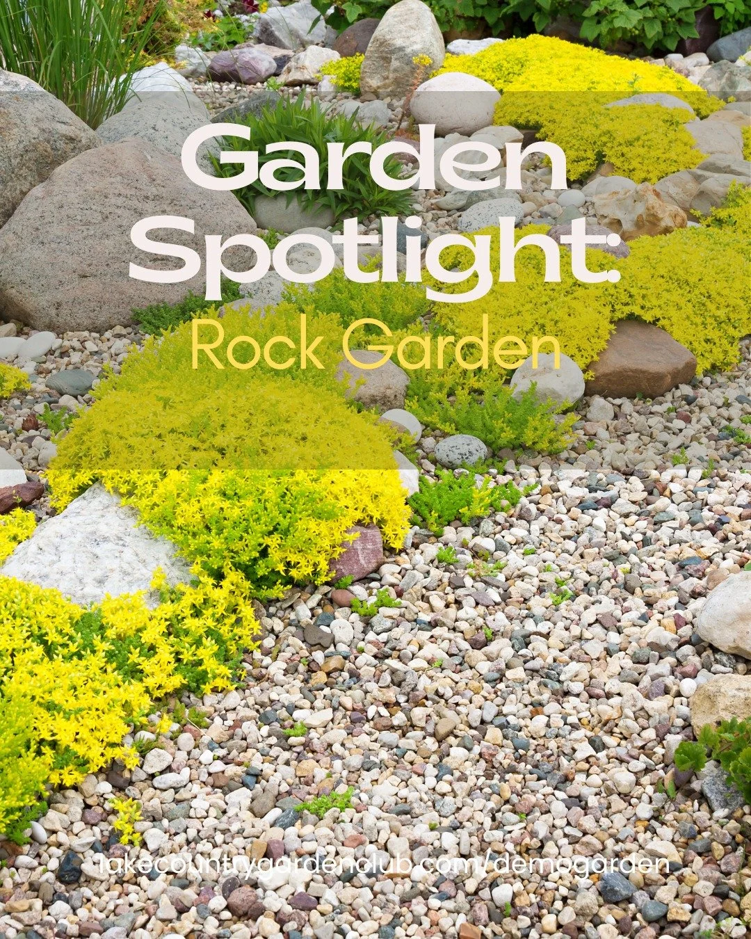Garden Spotlight: Rock Garden
Strong, sculptural and surprisingly gentle on water.
The Rock Garden will showcase how stones and boulders can help retain heat, reduce water use and create striking, low-maintenance planting areas.
This space highlights