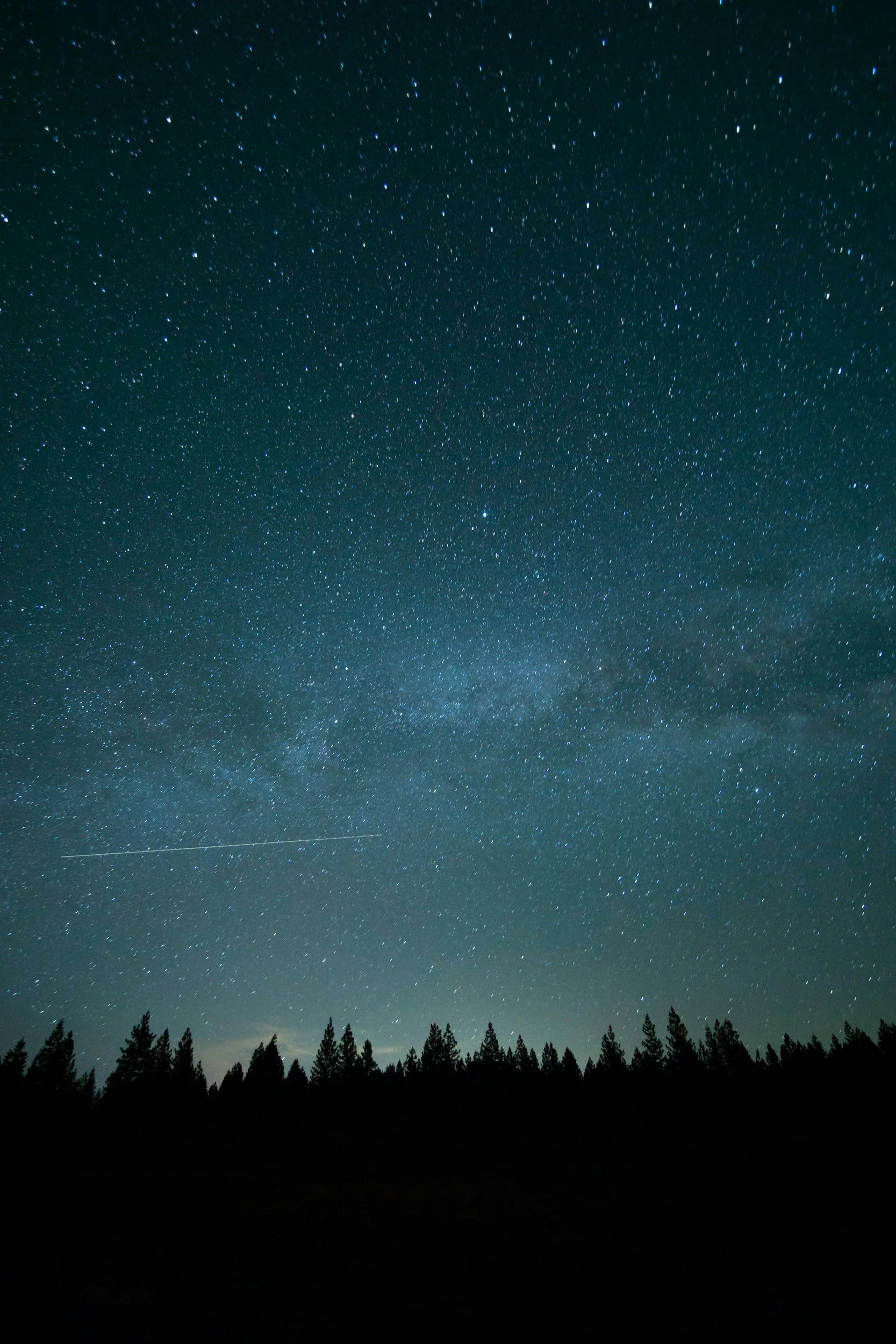 Night sky filled with countless stars, with a faint motorcycle trail or meteor streaking across, above a silhouette of a forest.