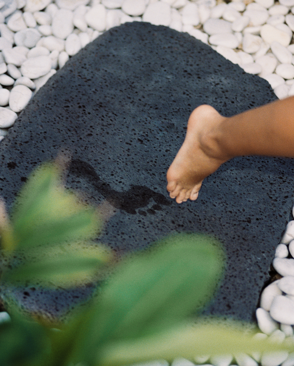 Screenshot 2026-02-26 at 11.06.31 PM.png