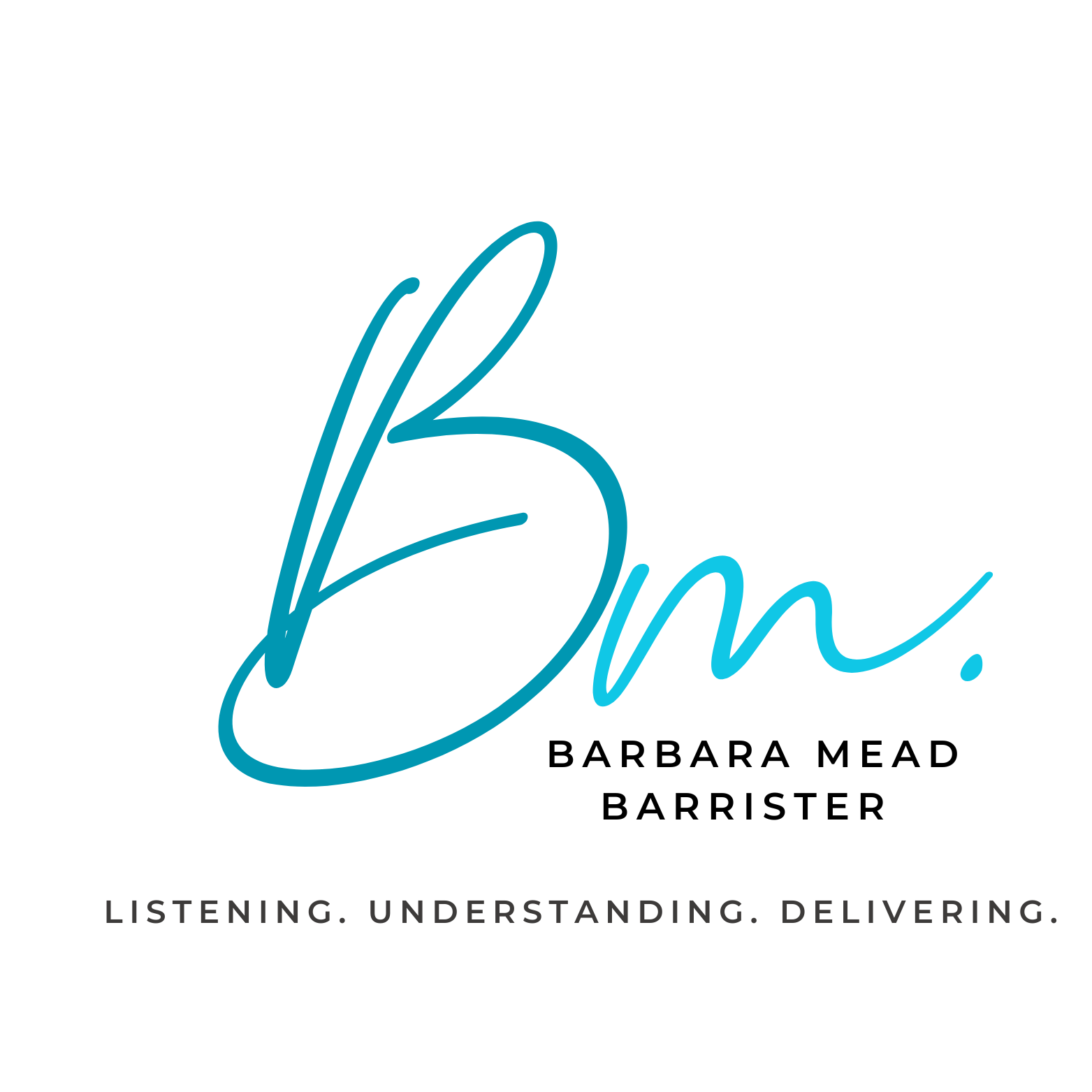 Picture of Barbara Mead Barrister Logo