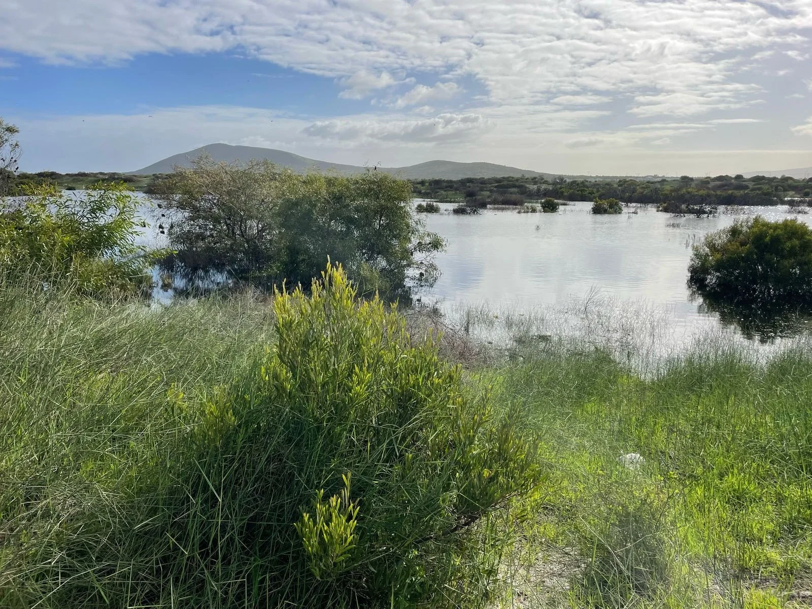 Yes to preserve endangered biodiversity & wetlands     
Yes to incorporate Erf 1117 into BNR     
Yes to incorporate Erf 1117 into BNR 
No to high-rises & endless retail sprawl  
No to the broken planning process
Our future. Our fight