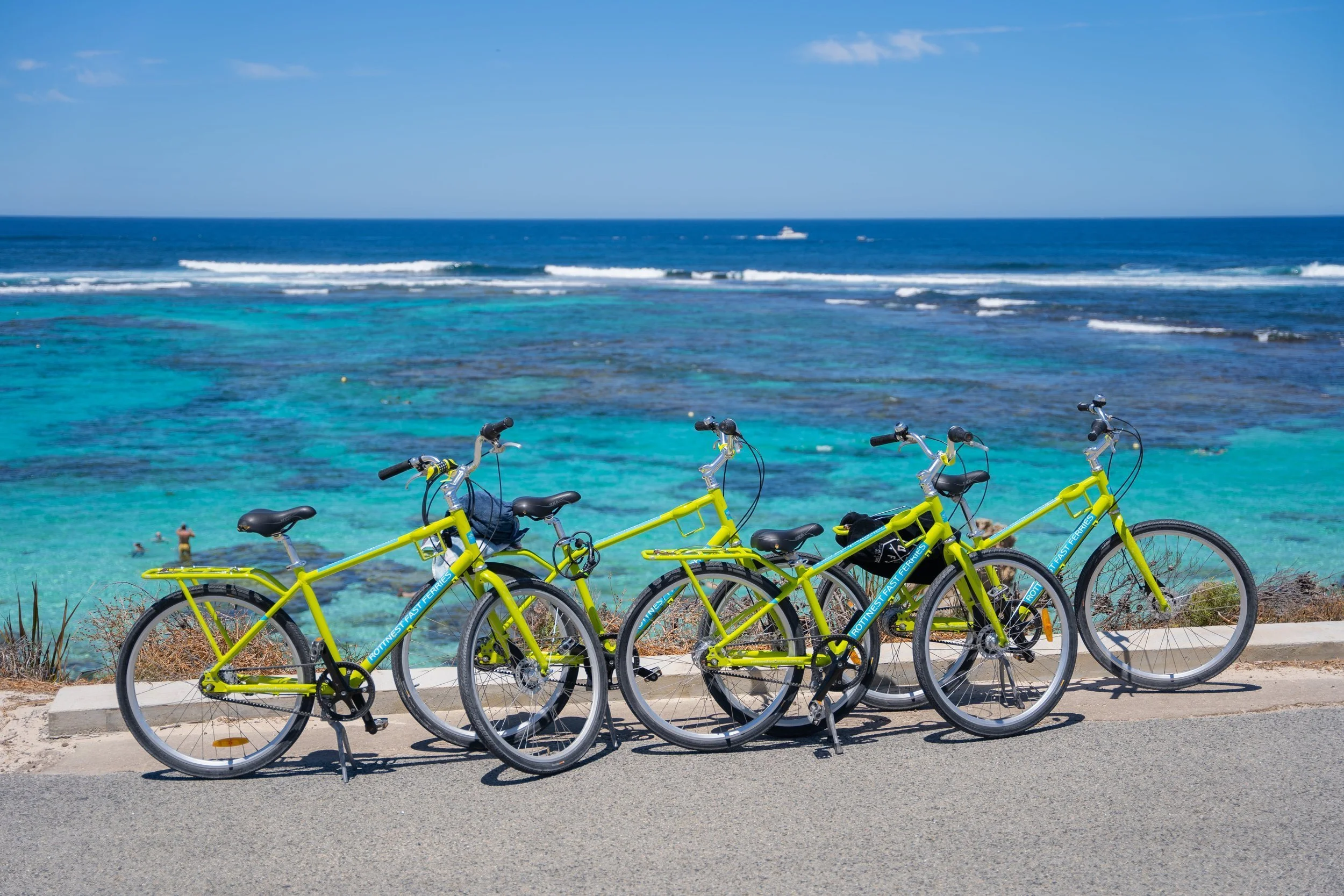 Polygons Rottnest Rottnest Island Bus Tours & Packages — Quokka Coaches