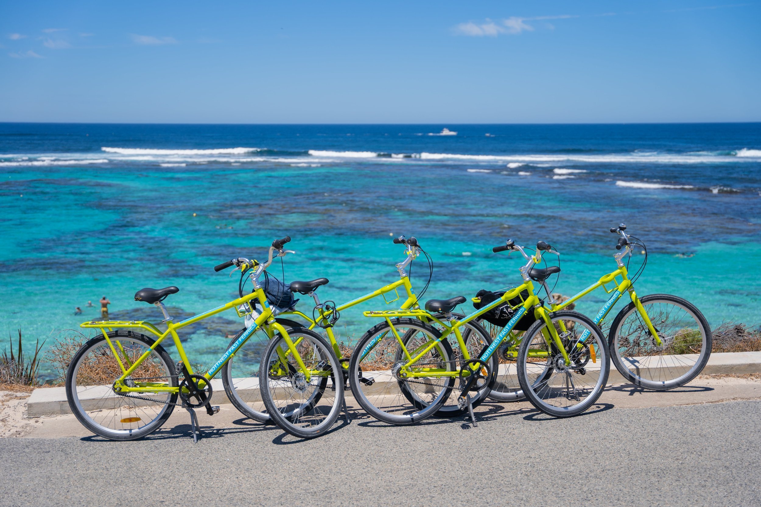 Rottnest Island Bus Tours & Packages — Quokka Coaches