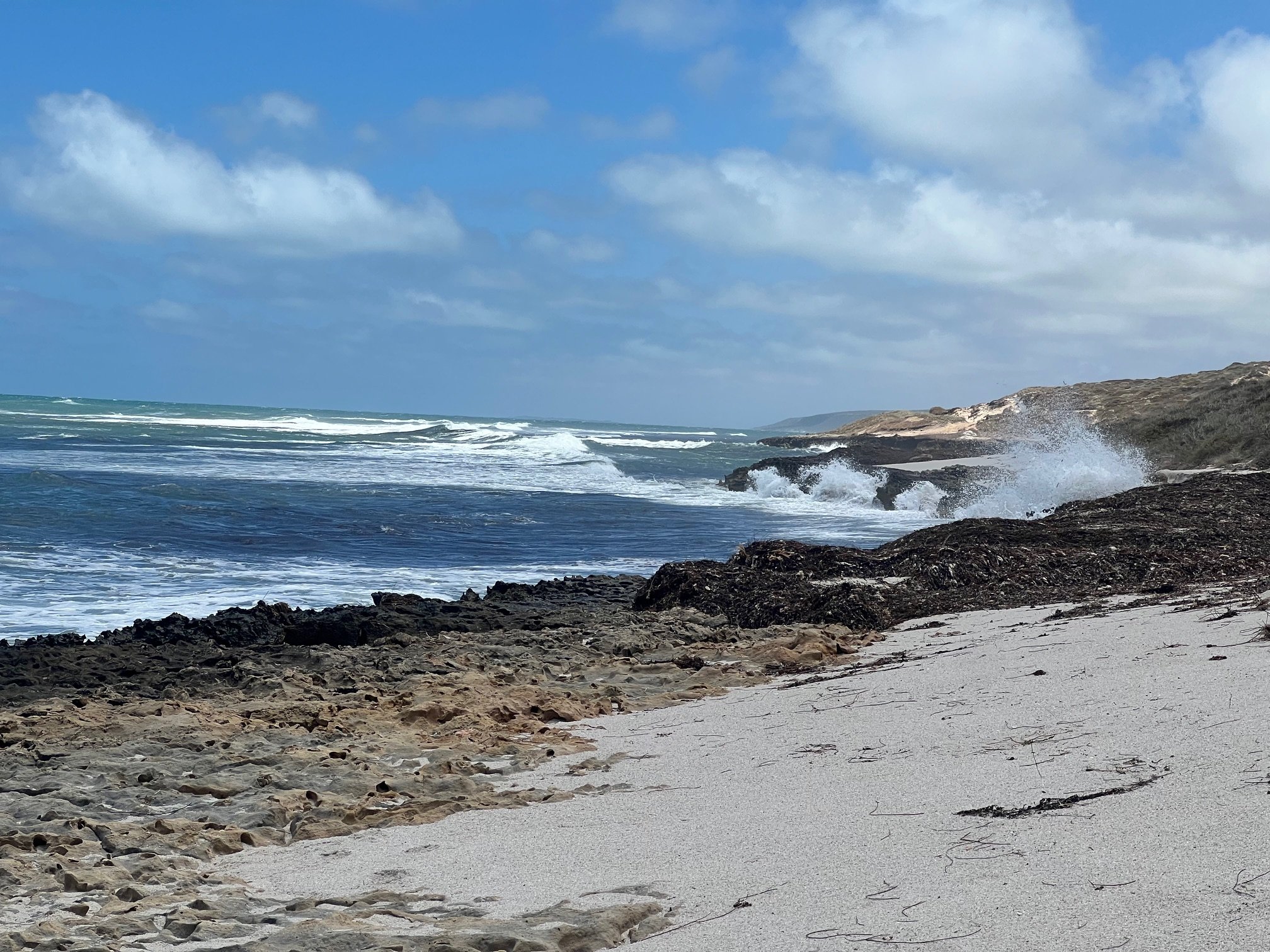 Summer is renowned for the wind blowing from the south and wasing sea grass and weed piling up on the shore of jaggered limestone.
