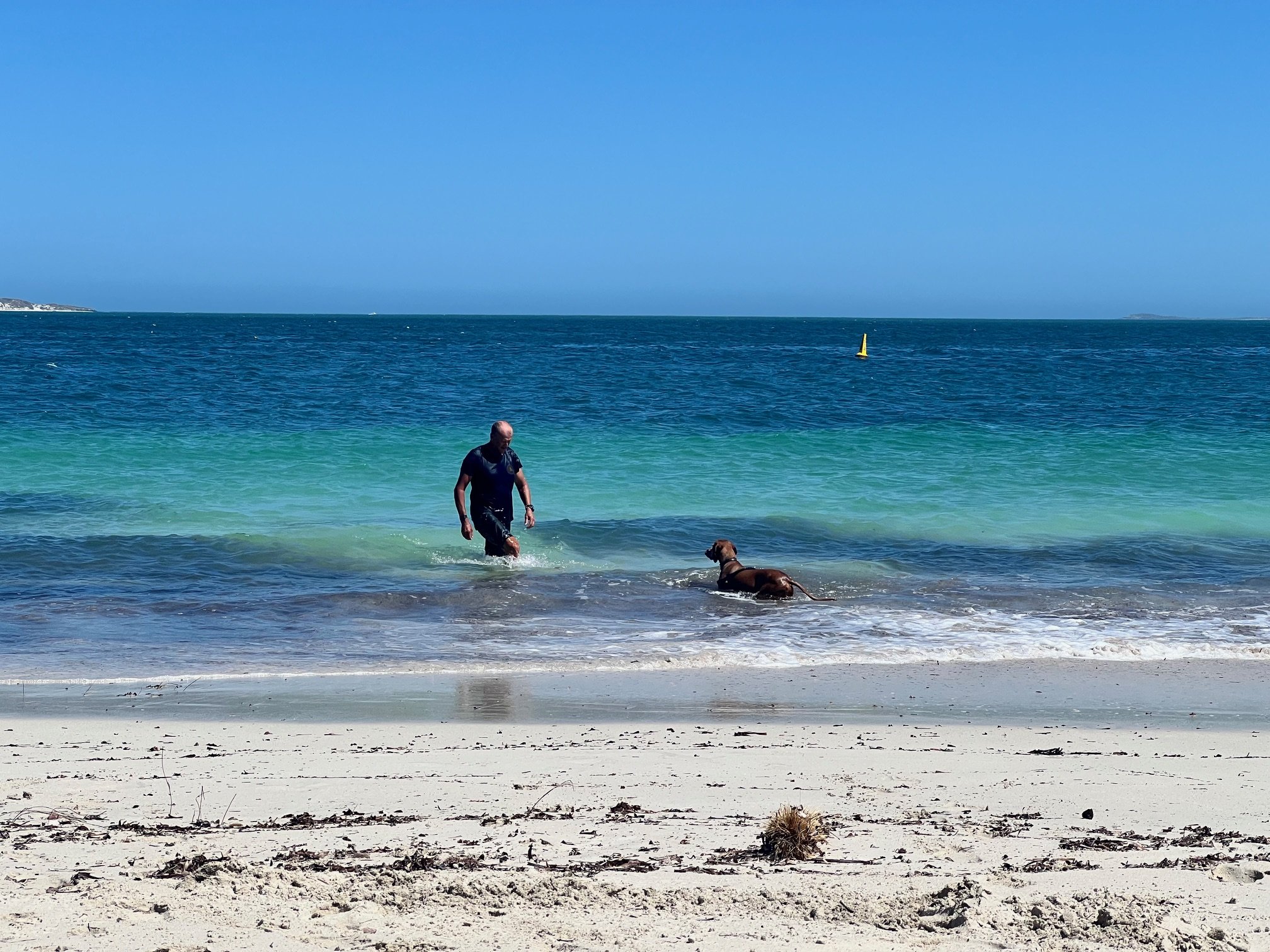Horrocks, typical of Western Australian coastline reefs hugging the shore; this is what makes this coastline so special.