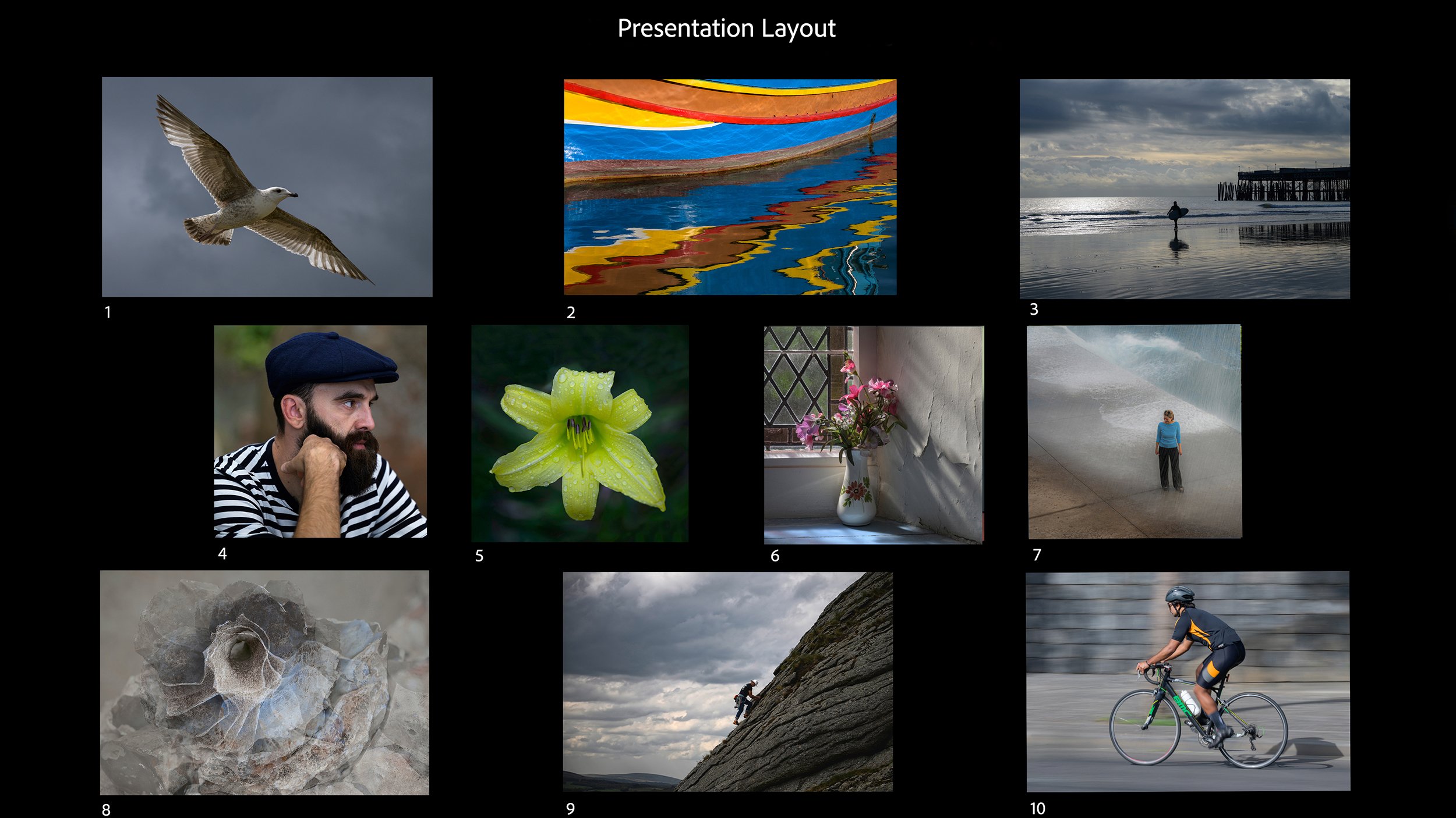 Licentiate Distinction - Royal Photographic Society