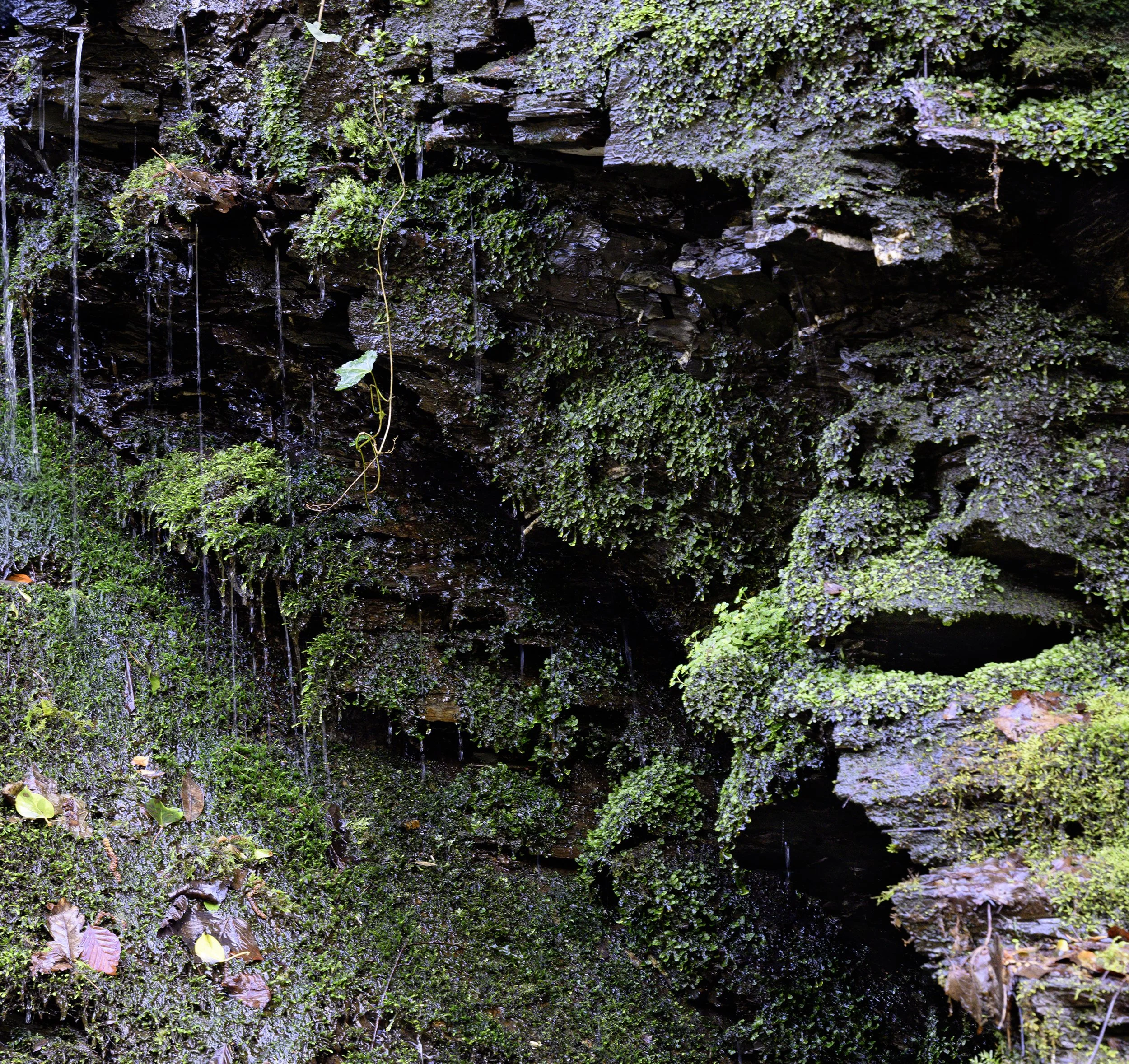 _DSC6784-1.jpg