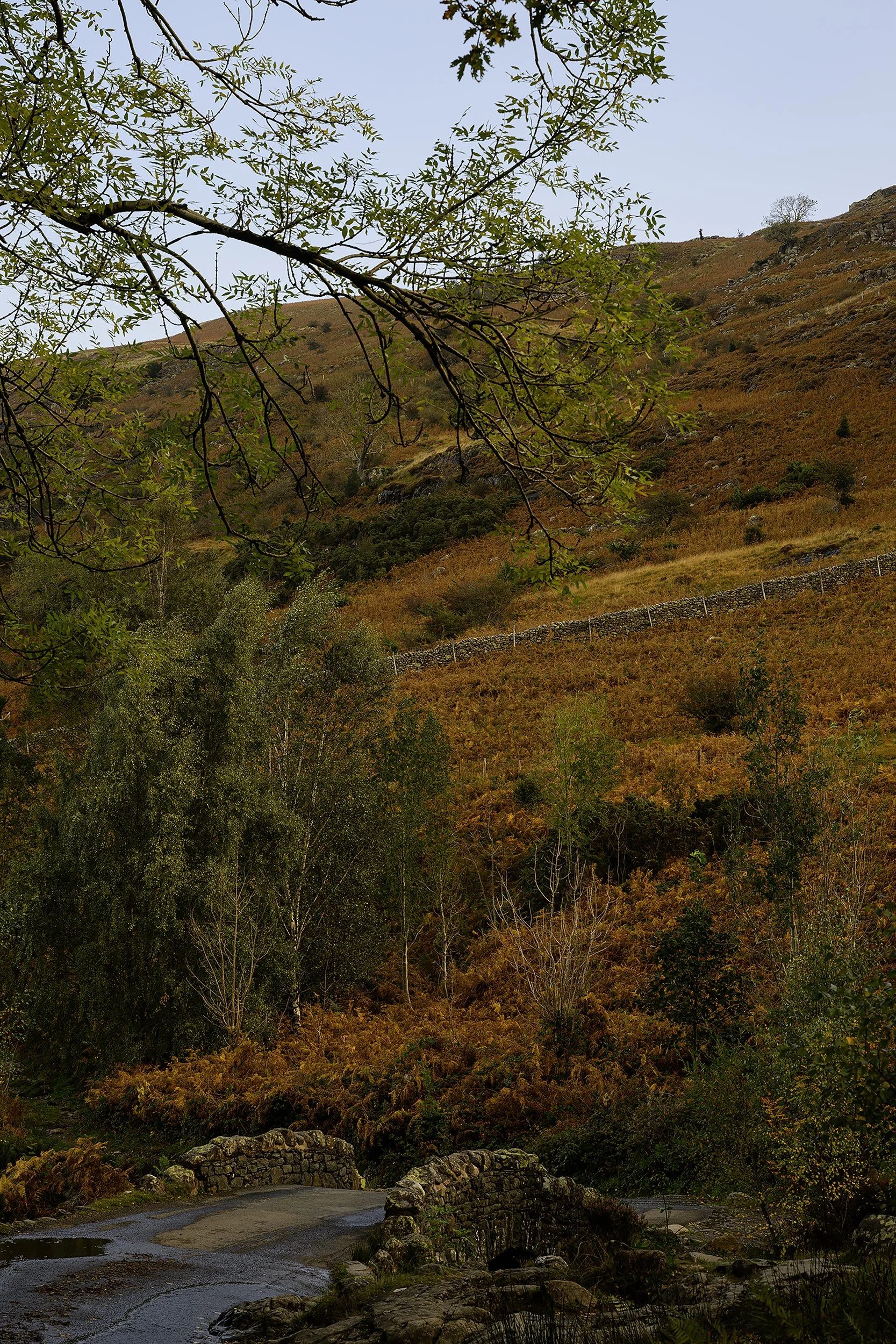 Ashness Bridge; Lake District