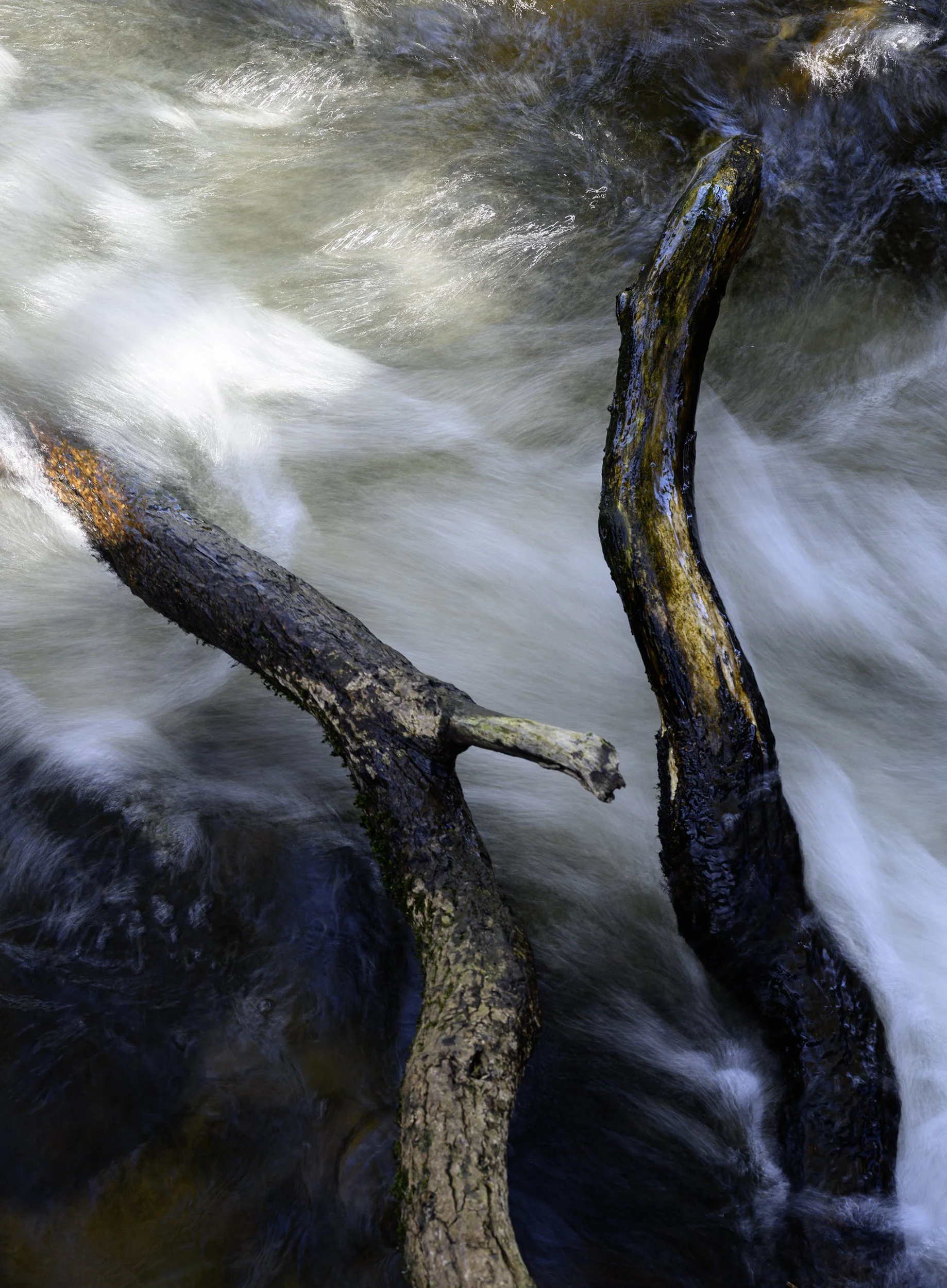 _DSC6930-1.jpg