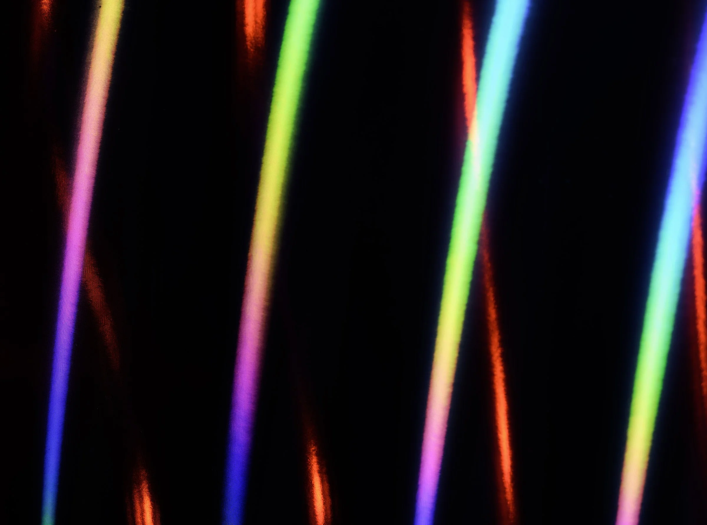 _DSC5354 website.jpg