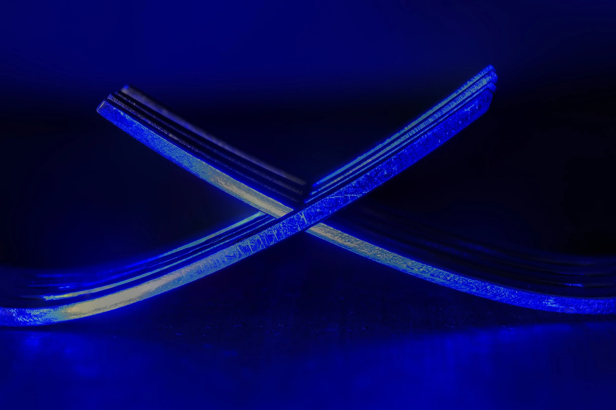 blue forks for website.jpg