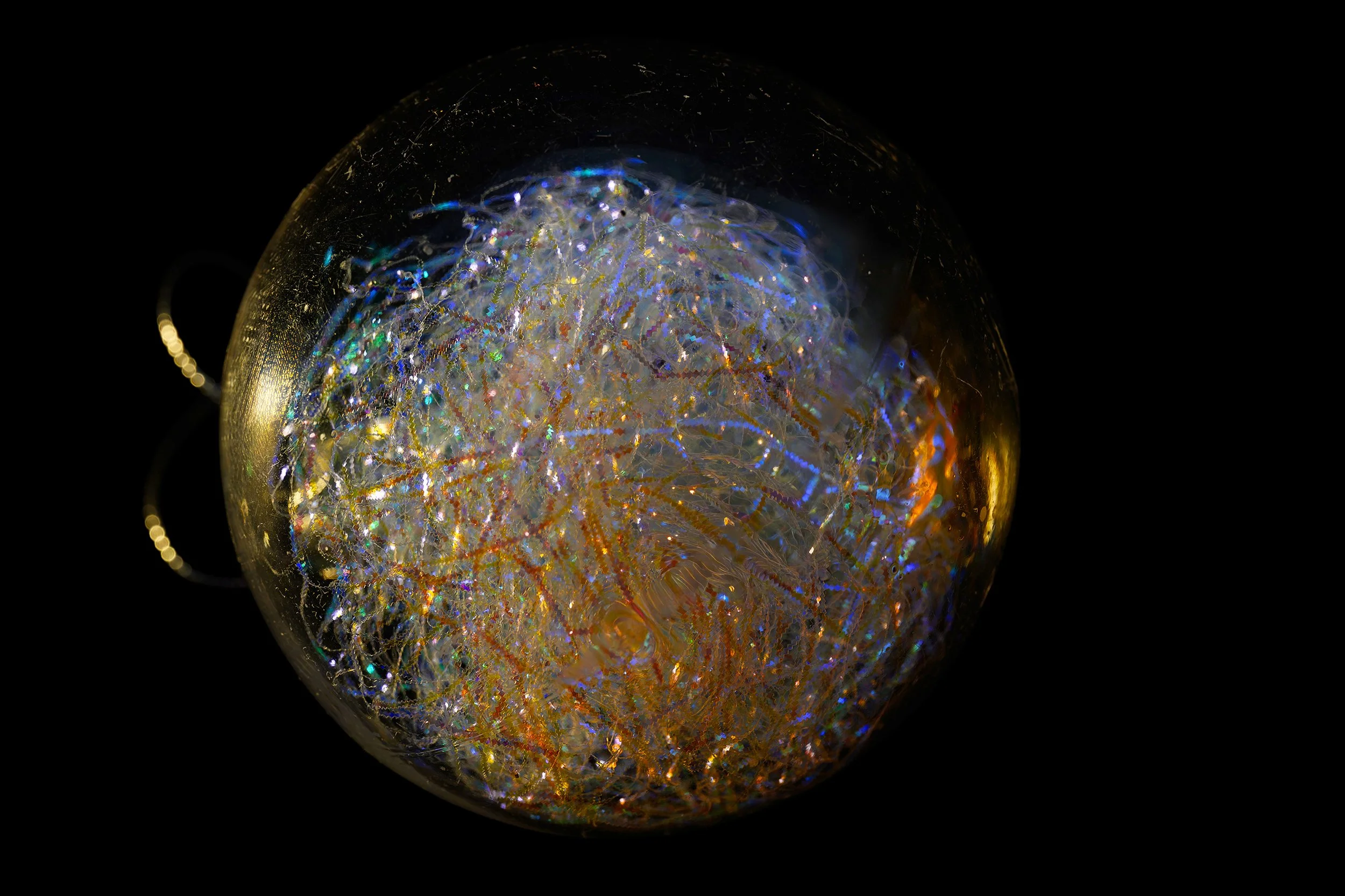 _DSC5241 website.jpg