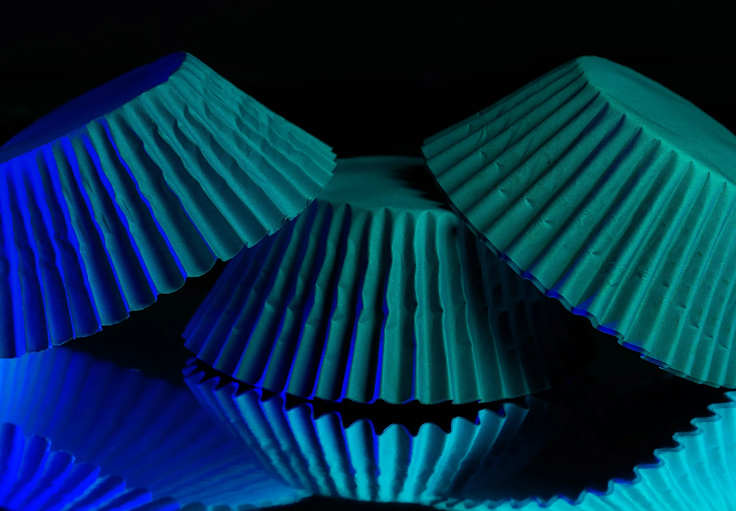 _DSC5367 website3jpg.jpg