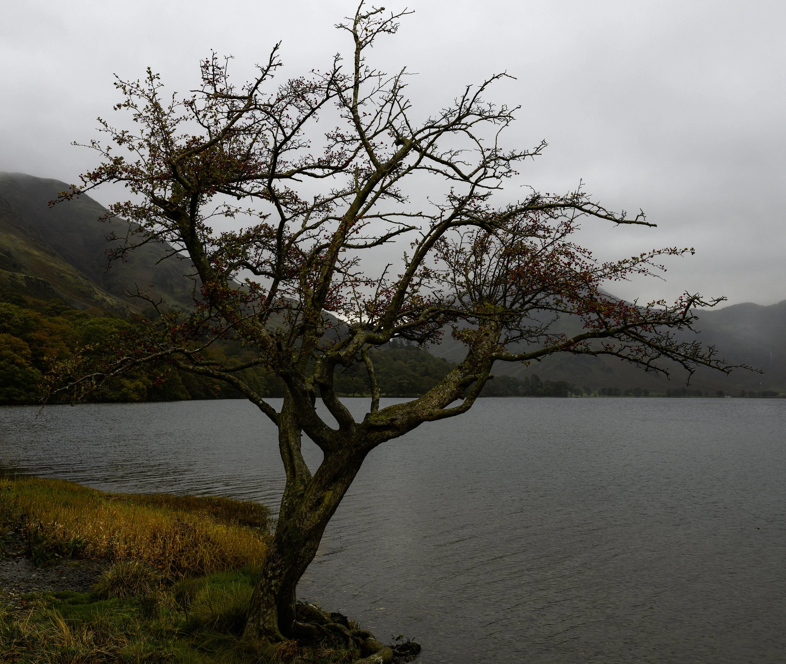 Barbara Vicary_Image 8_Buttermere copy.jpg