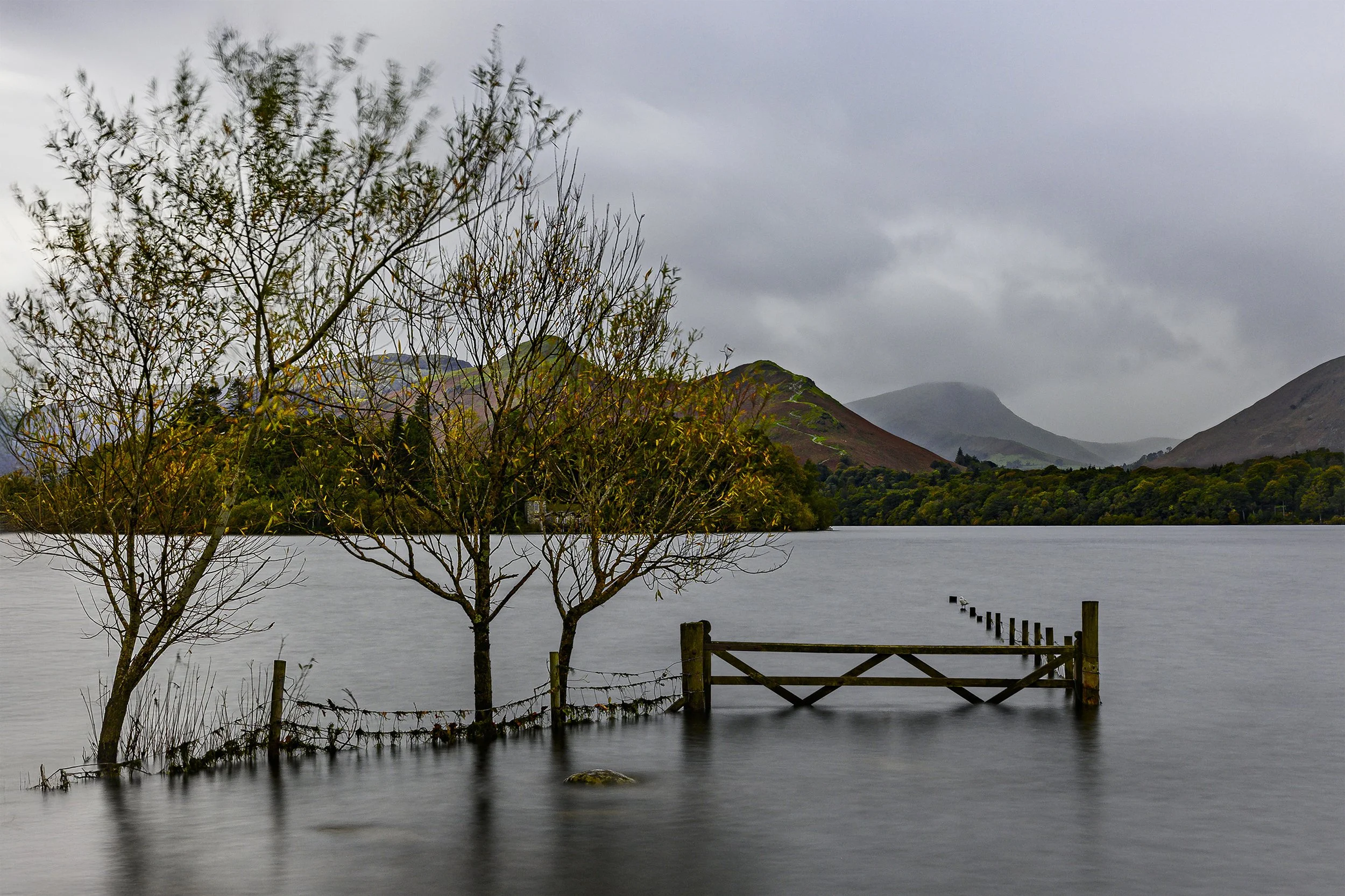 this one for website.jpg