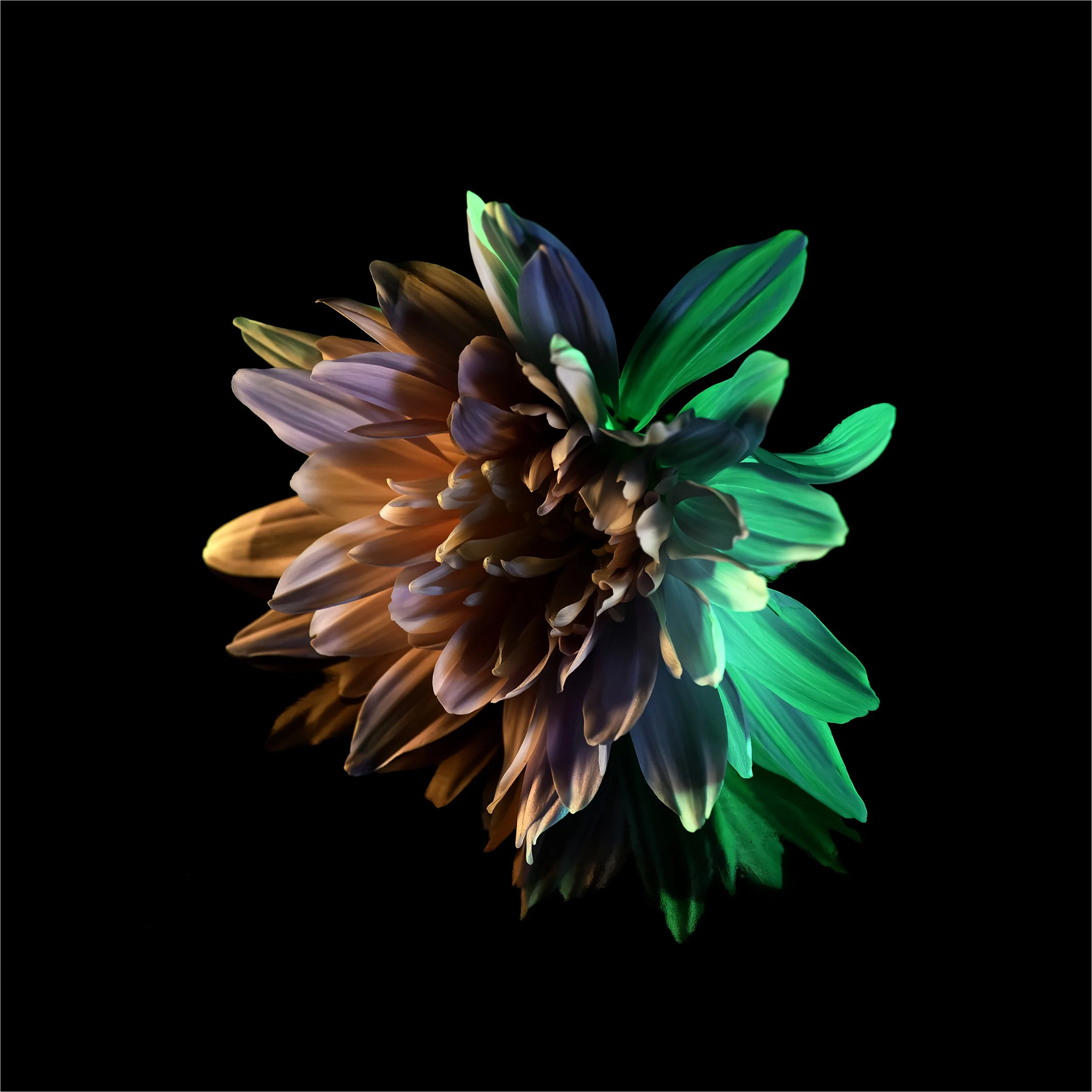 _DSC5225 website.jpg