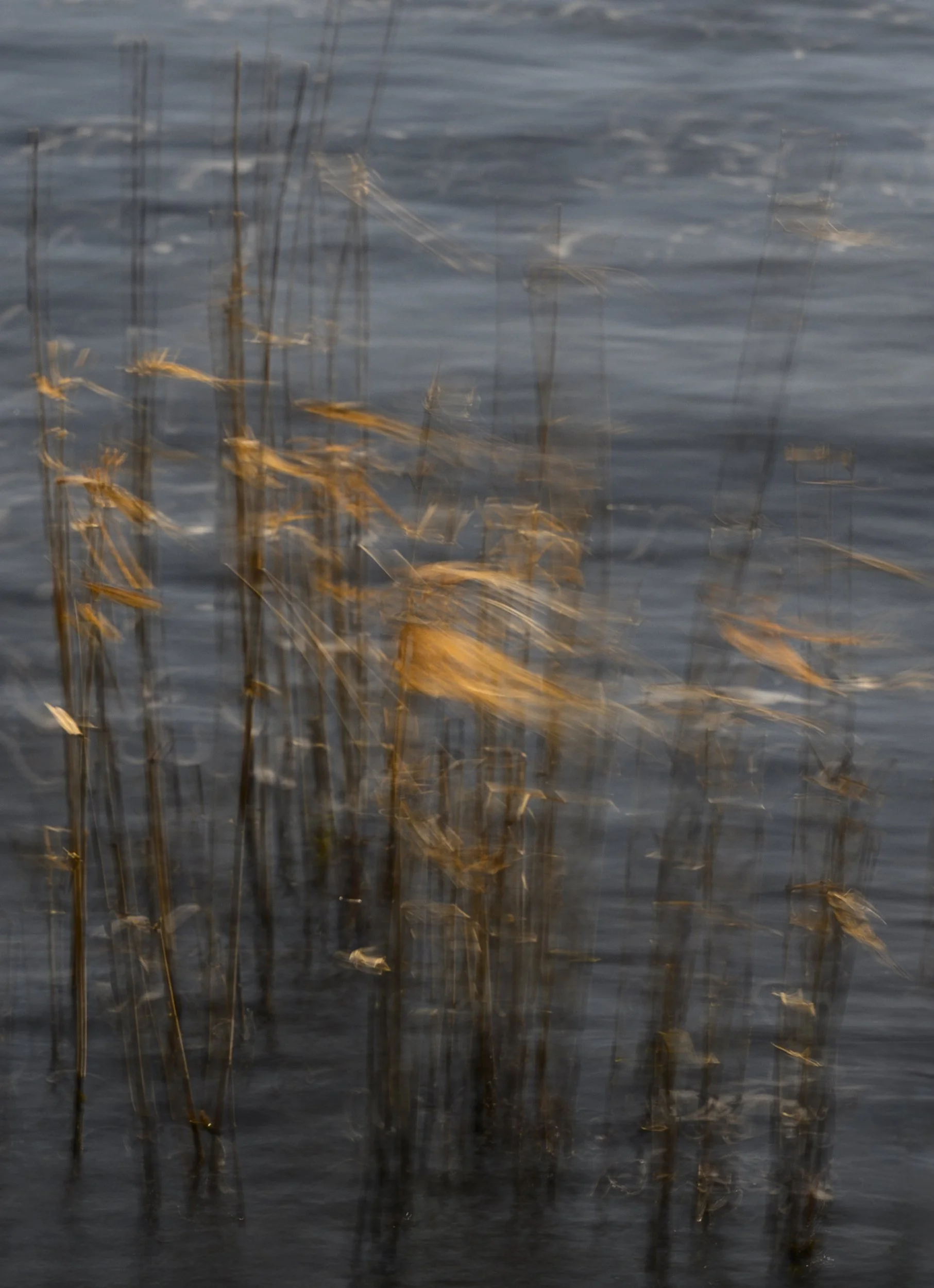 _DSC7070-1 copy.jpg