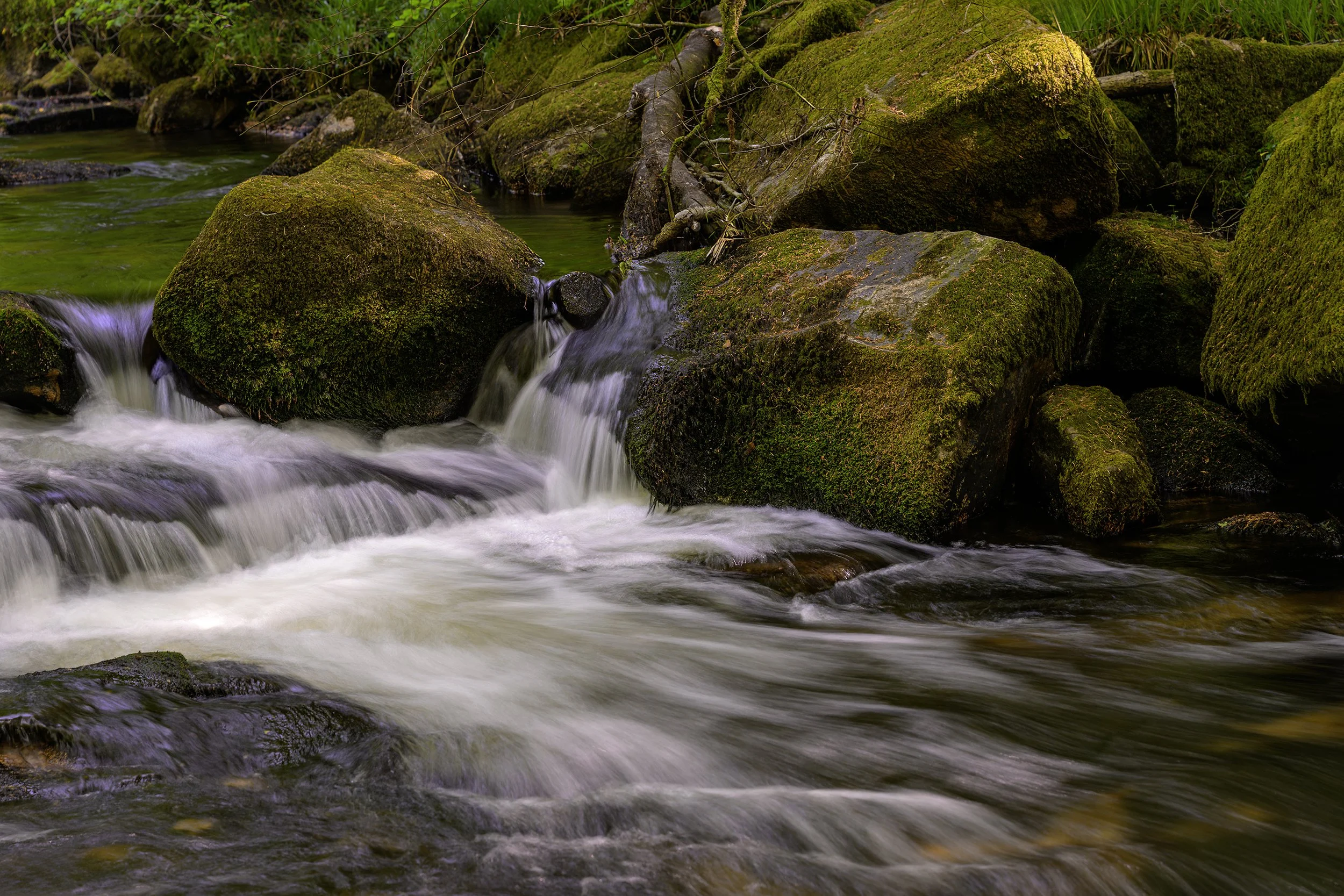 Golitha Falls;Devon
