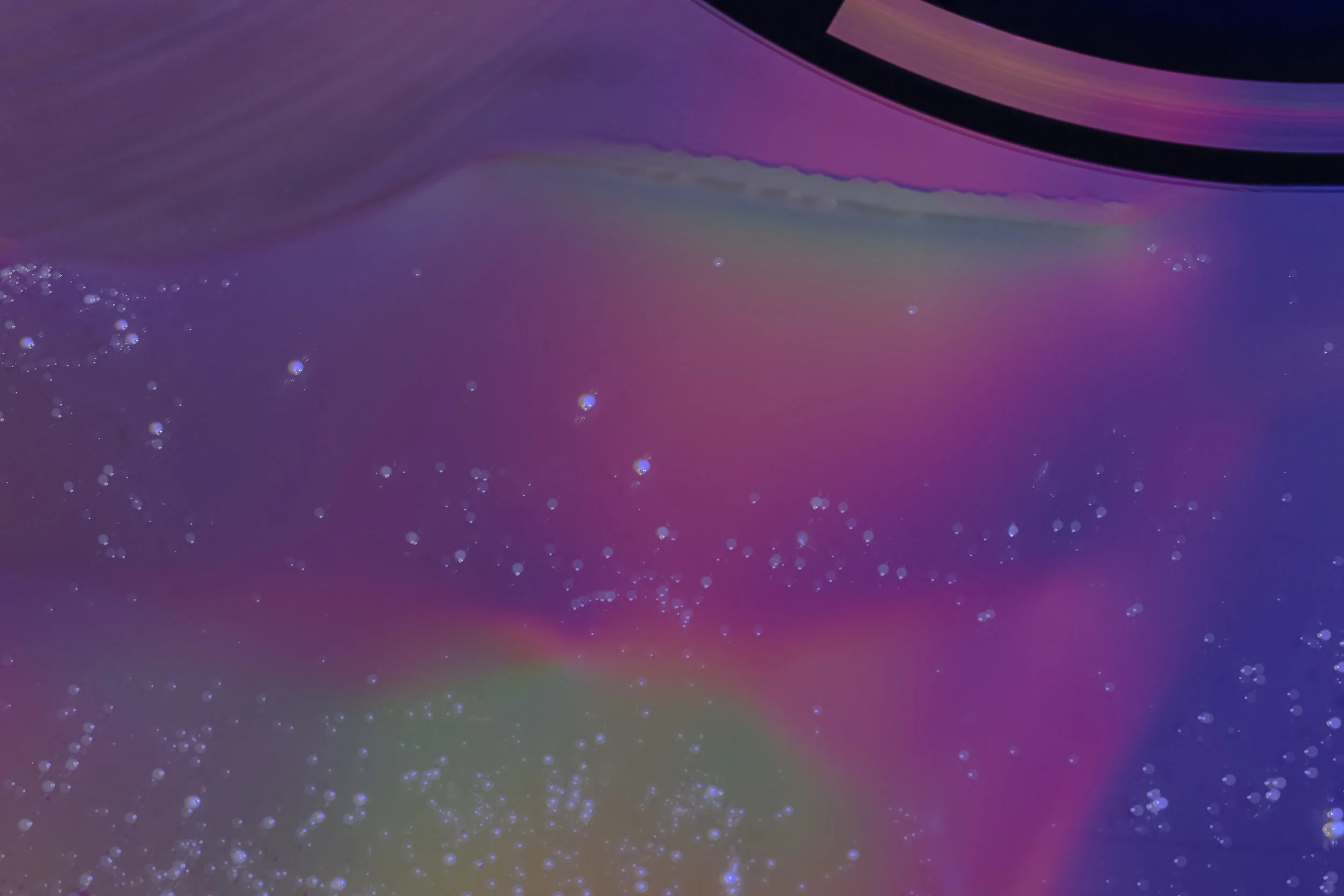 _DSC5554 for website.jpg