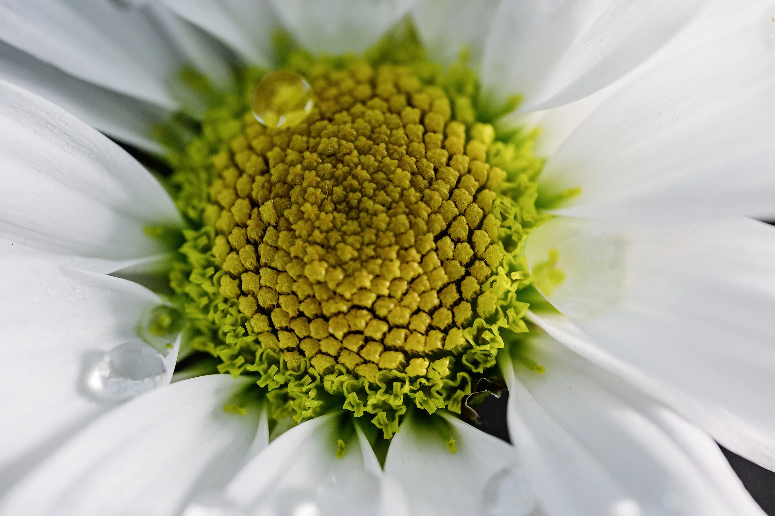 _DSC5130 website.jpg