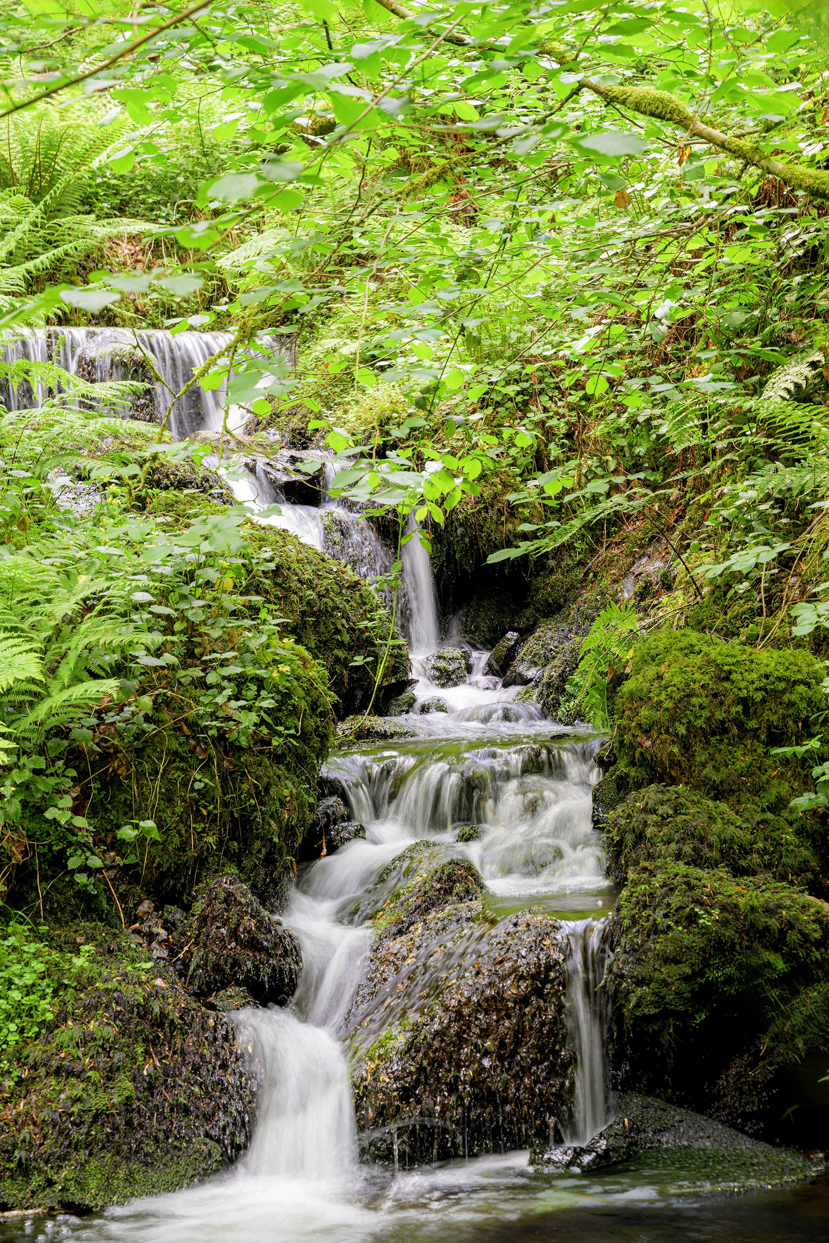 Canonteign Falls;Devon