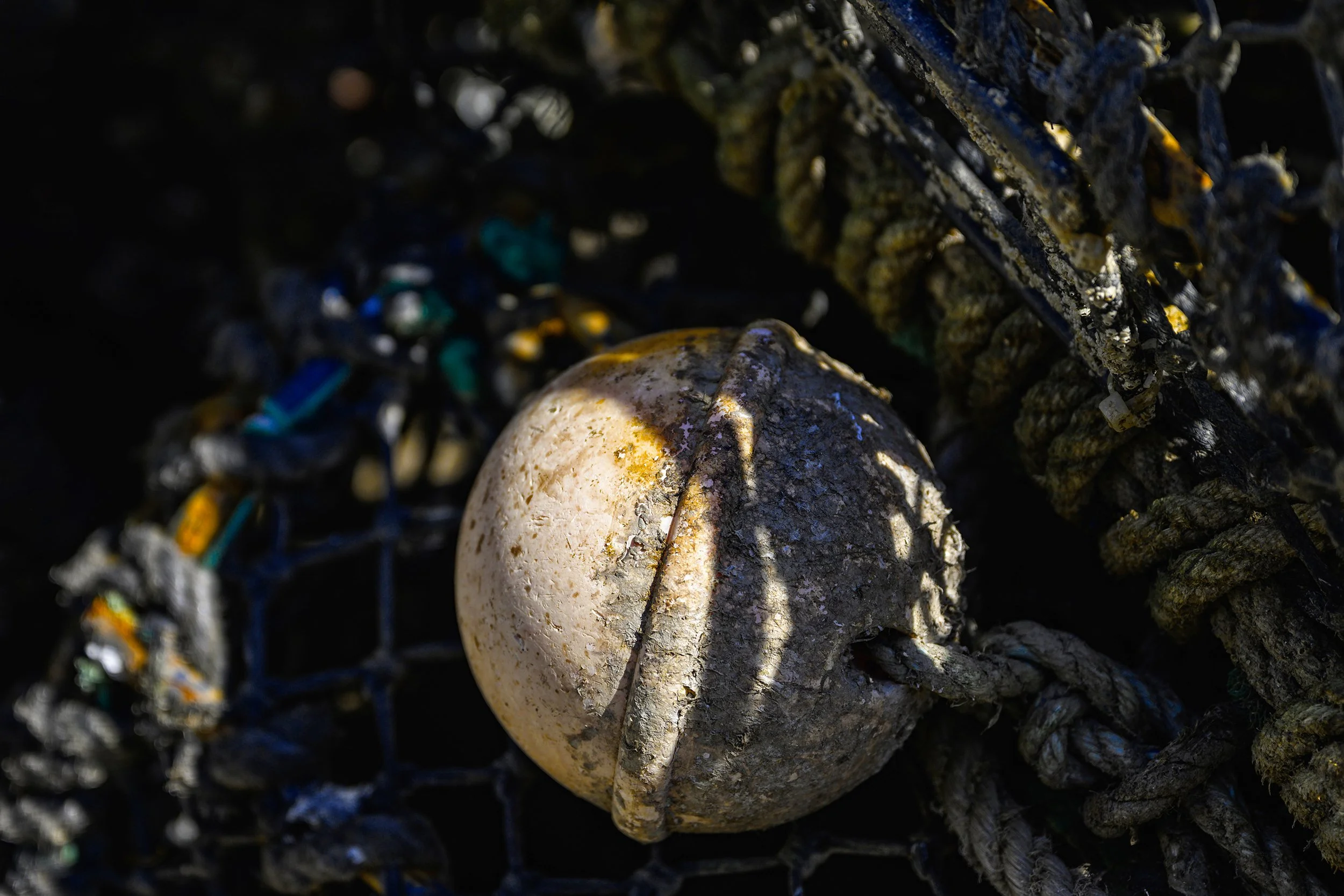Lobster pot for website.jpg