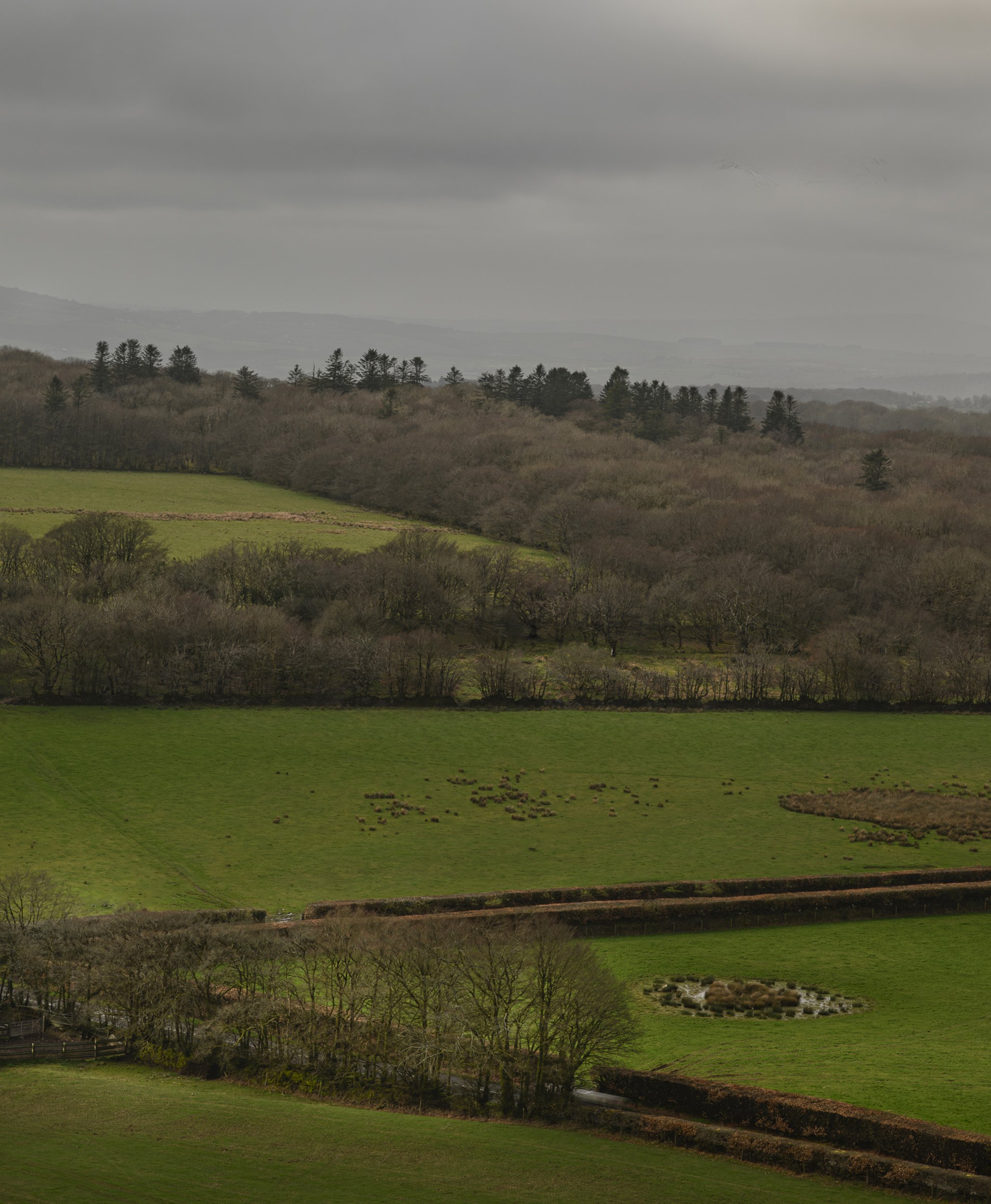 _DSC6761-1 copy.jpg