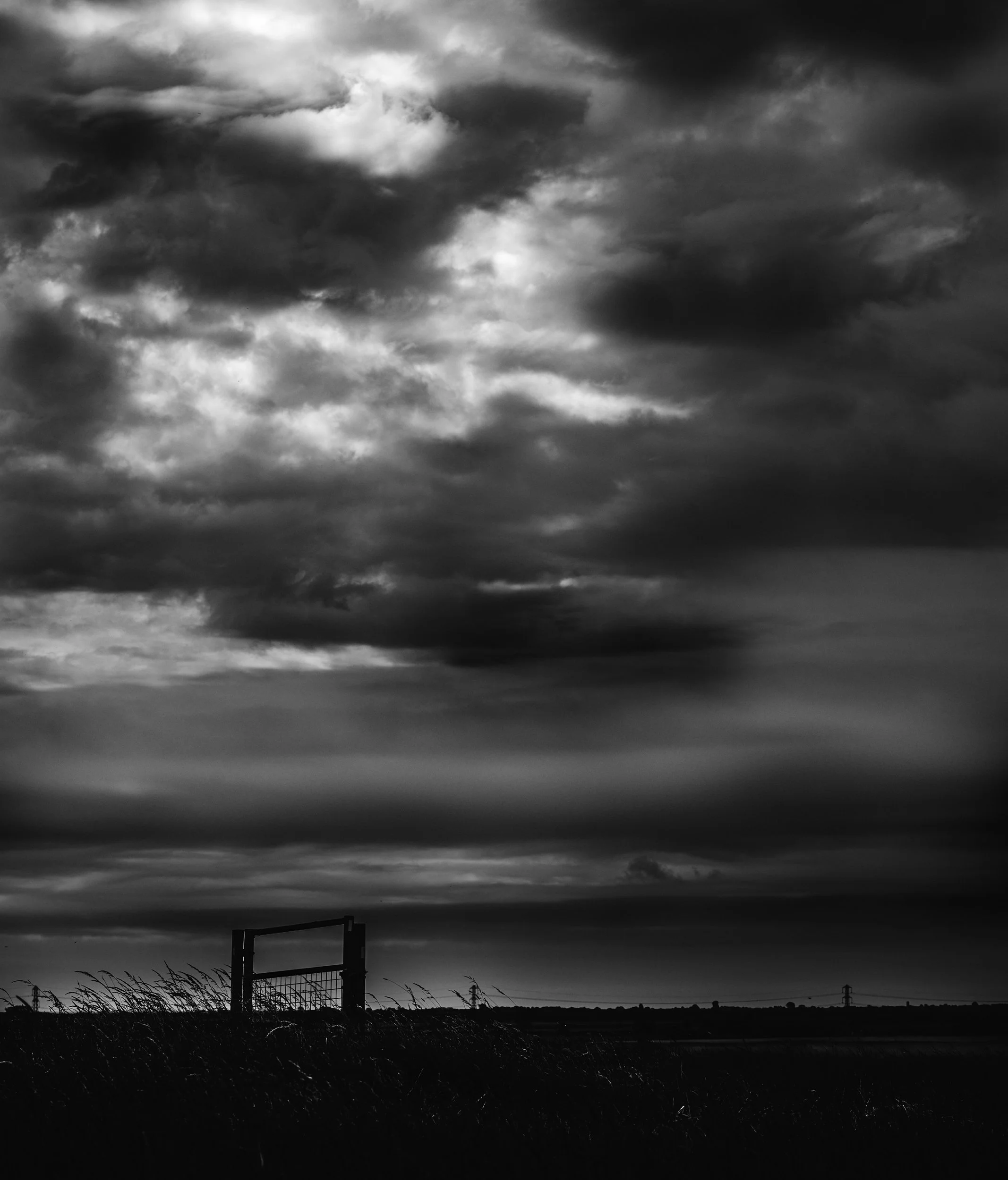 _DSC9981-1 BW web site sizecopy.jpg