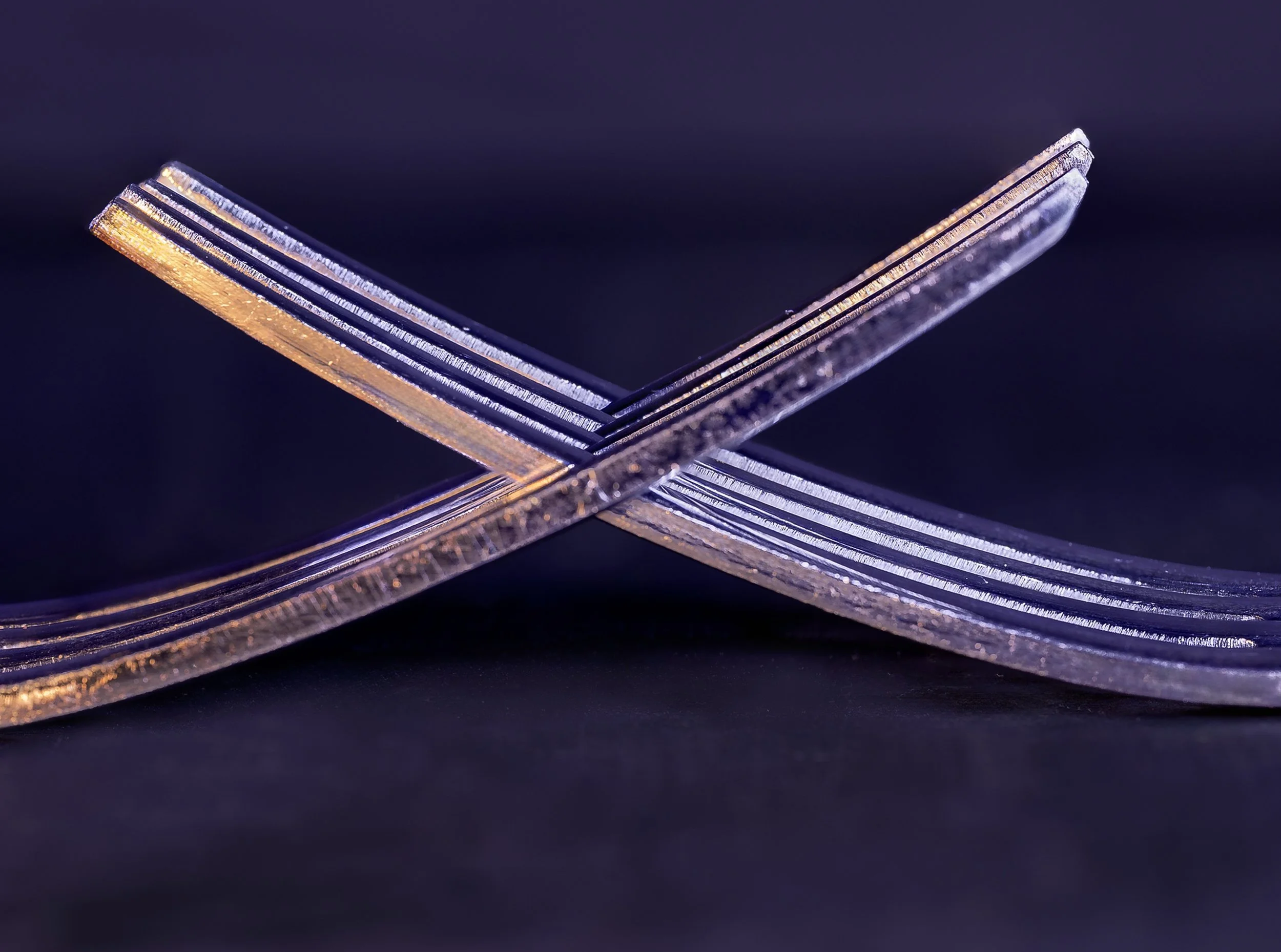 purple forksfor website.jpg