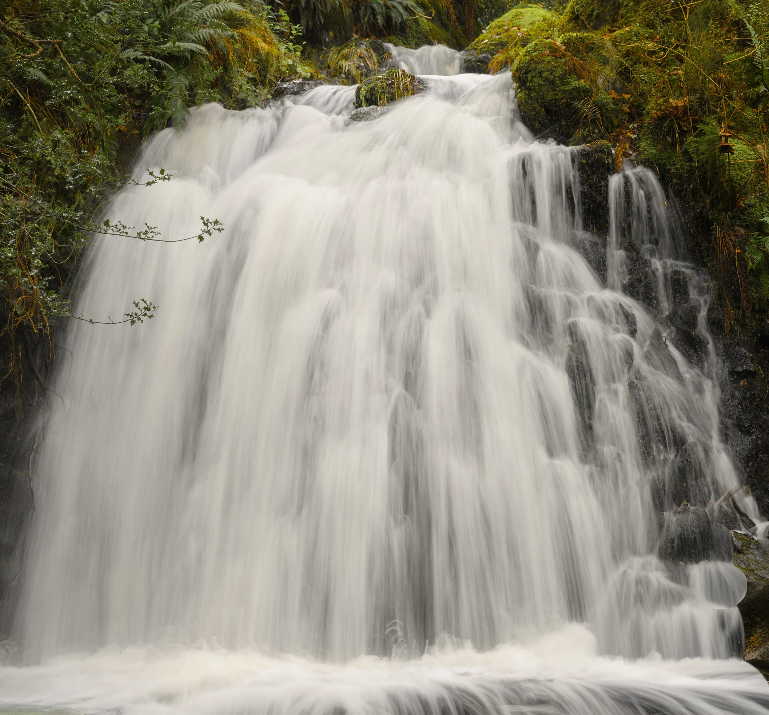 Waterfall; Tarn Hows; Lake District