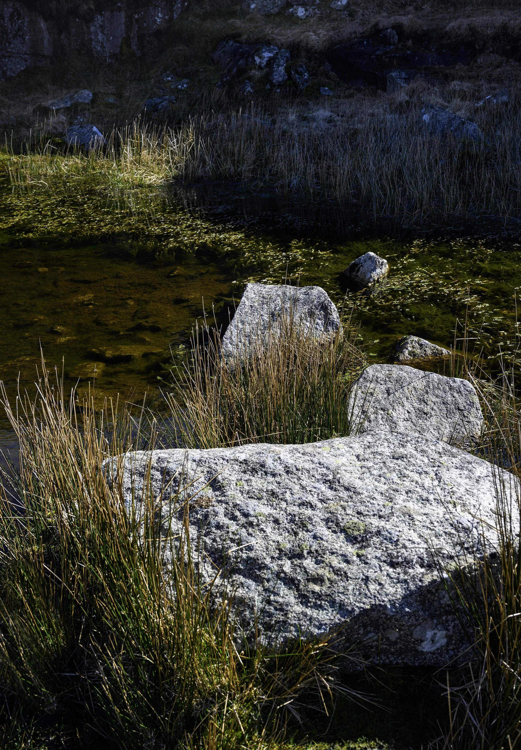 _DSC6995-1 copy.jpg