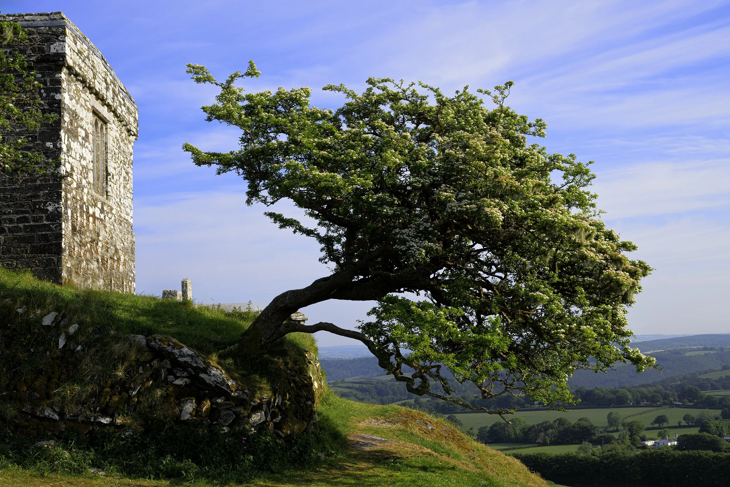 St Michaels church;Brentor;Devon