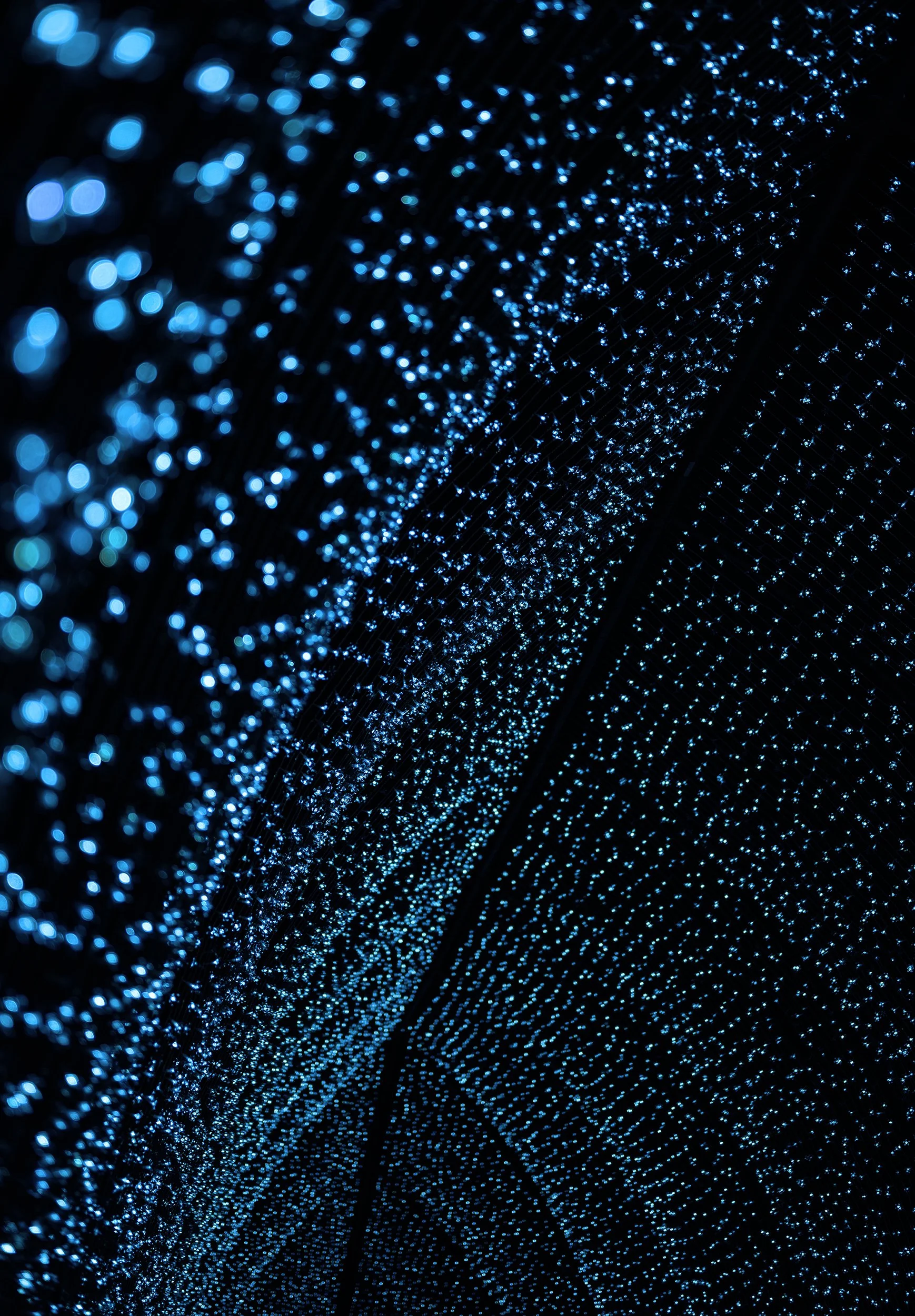 Kew Gardens Light Trail 2025