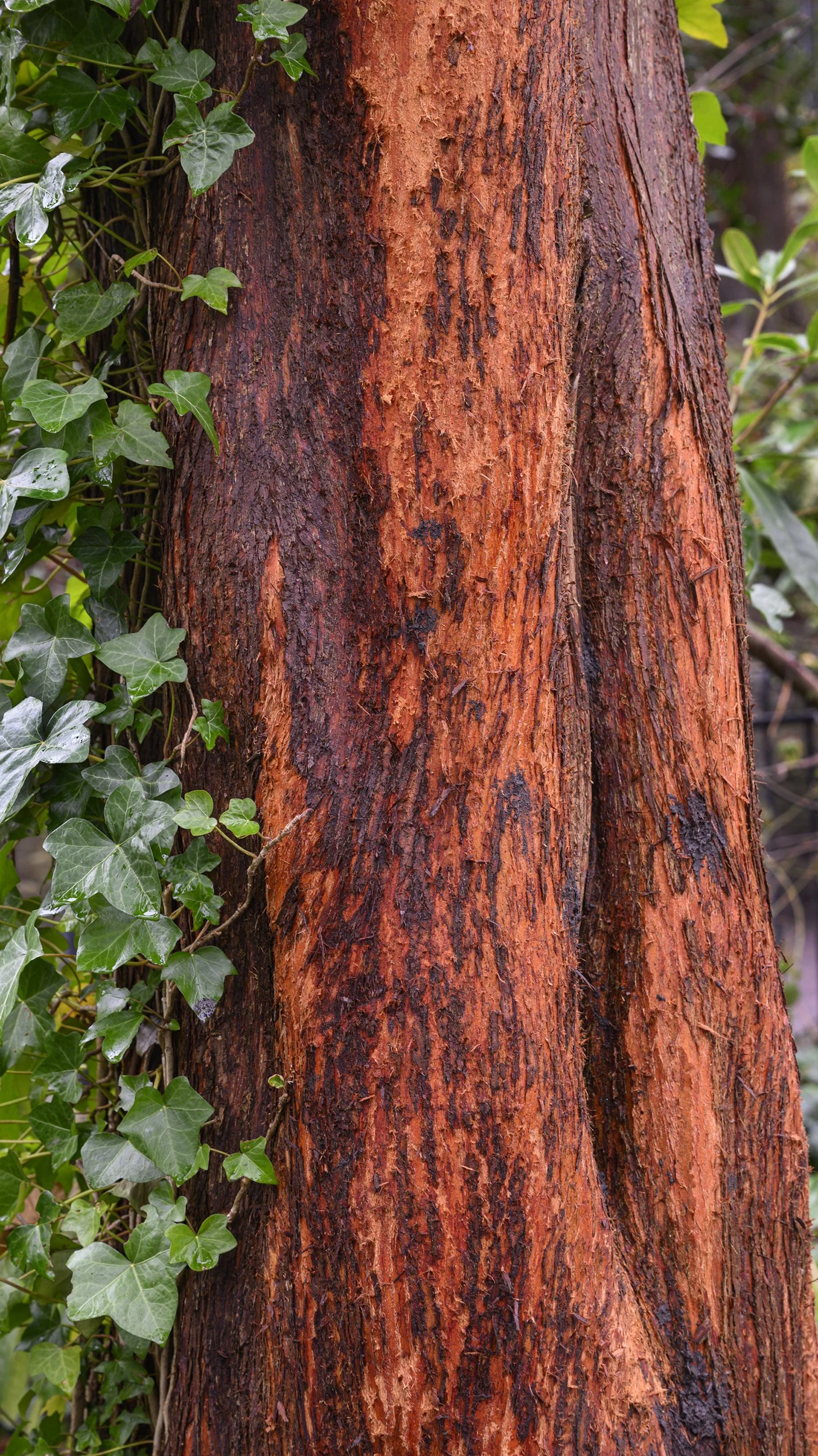 _DSC6270-weebsite sizedjpg.jpg