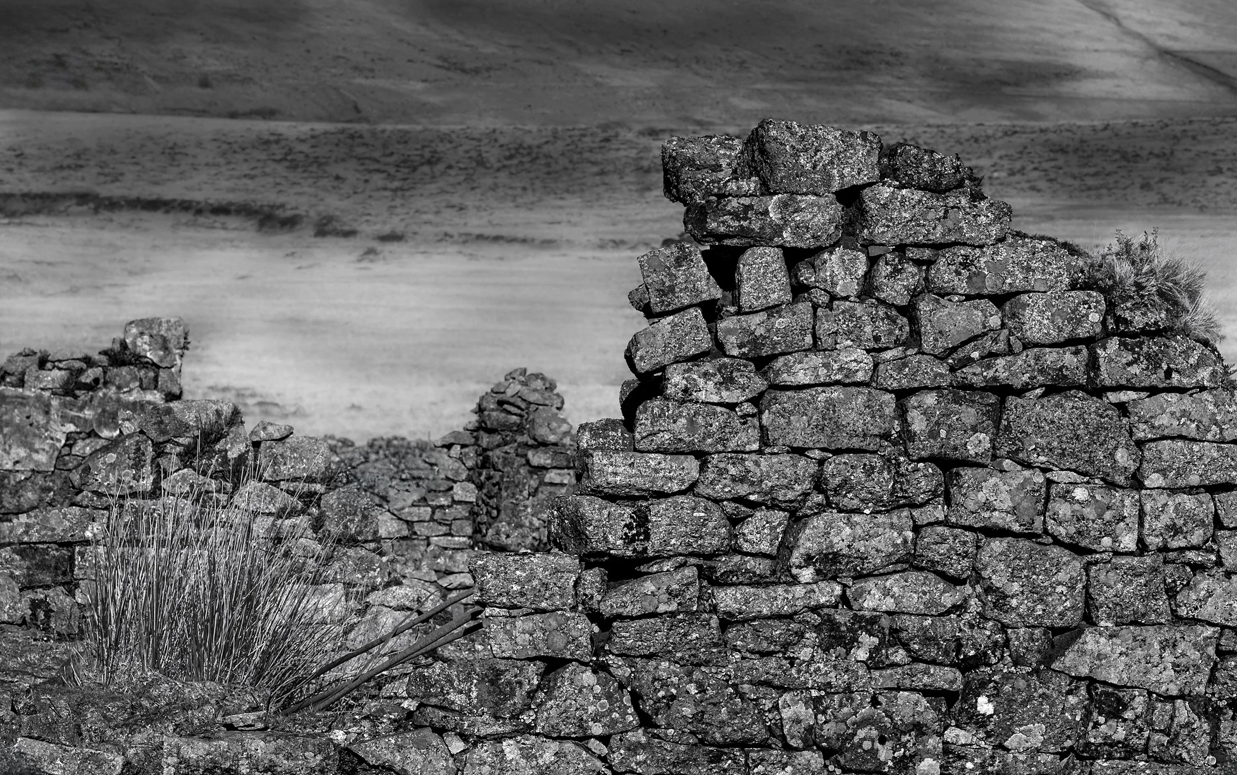 _DSC6968-5 copy 2.jpg