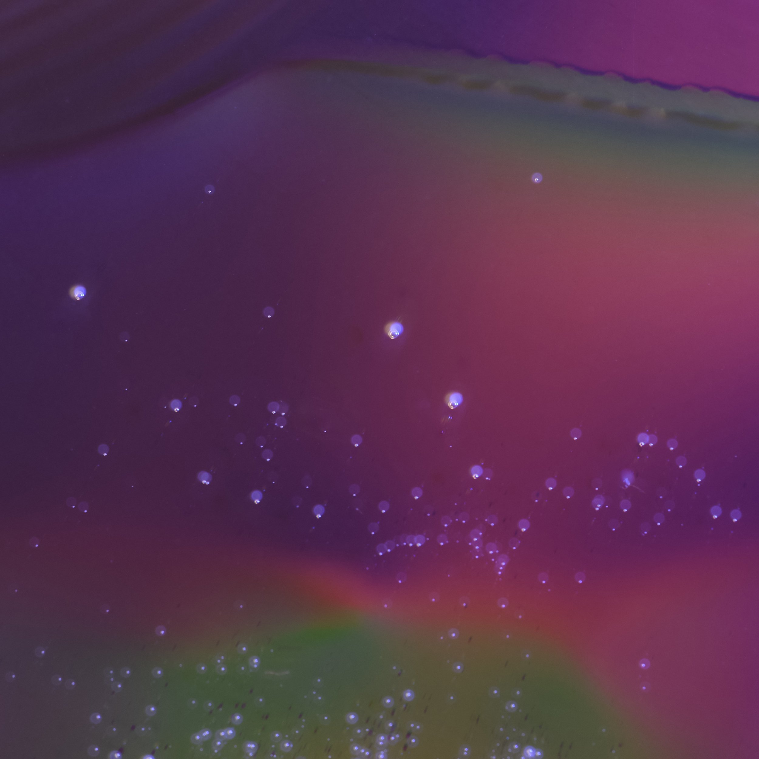 _DSC5554 website.jpg