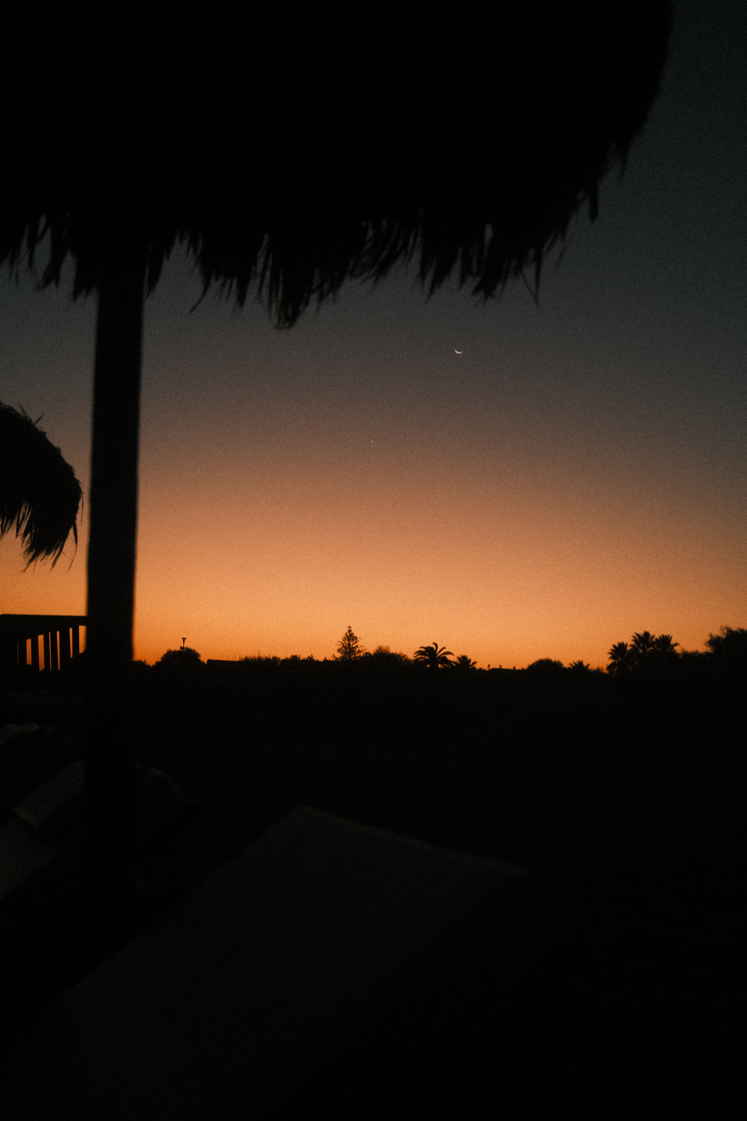 Sonnenuntergang oder Sonnenaufgang mit dunkler Silhouette eines Palmenhauses und einer Landschaft im Vordergrund; klare Abend- oder Morgenhimmel mit sichtbarem Mond und einem einzelnen Stern.