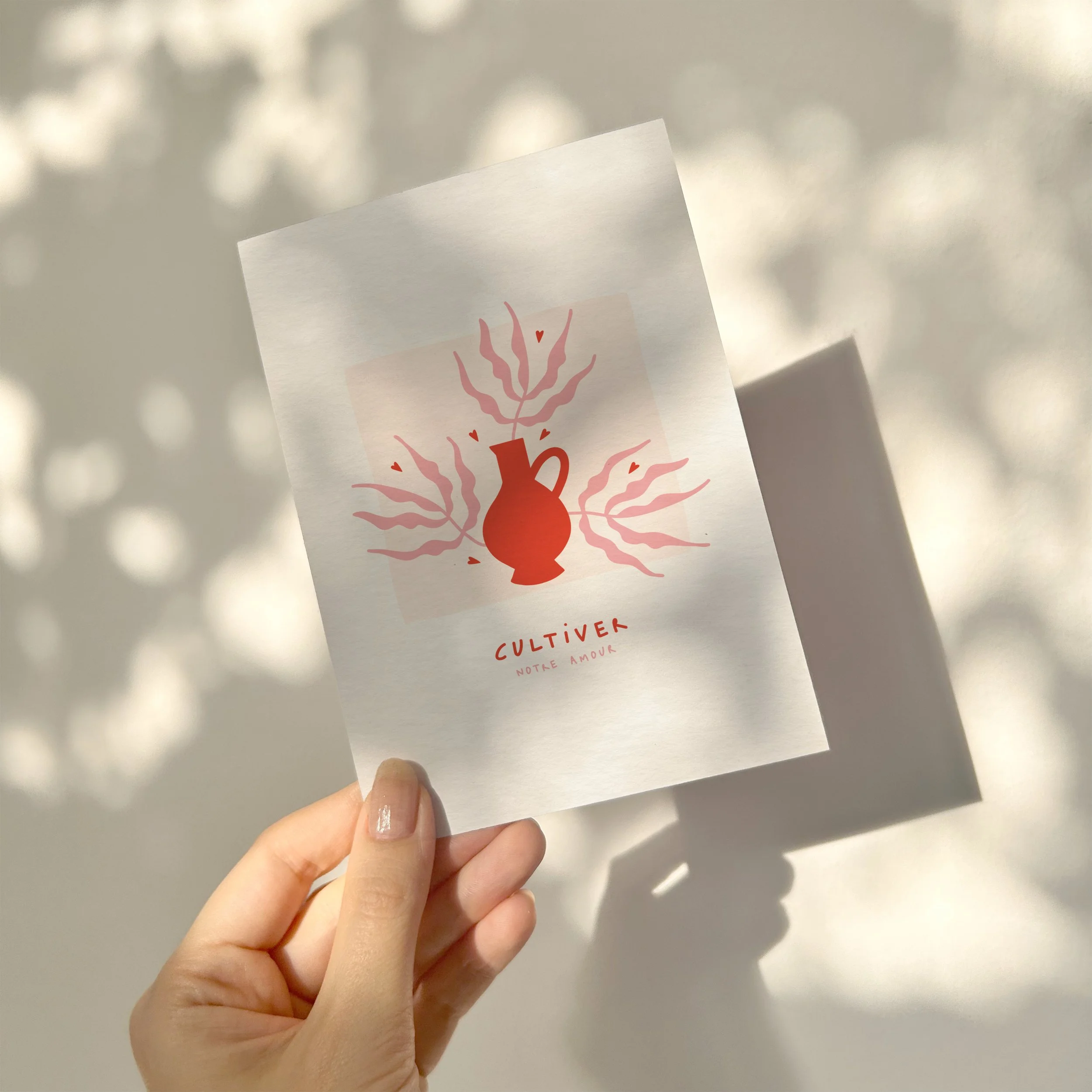 CP CULTIVER AMOUR rose.jpg
