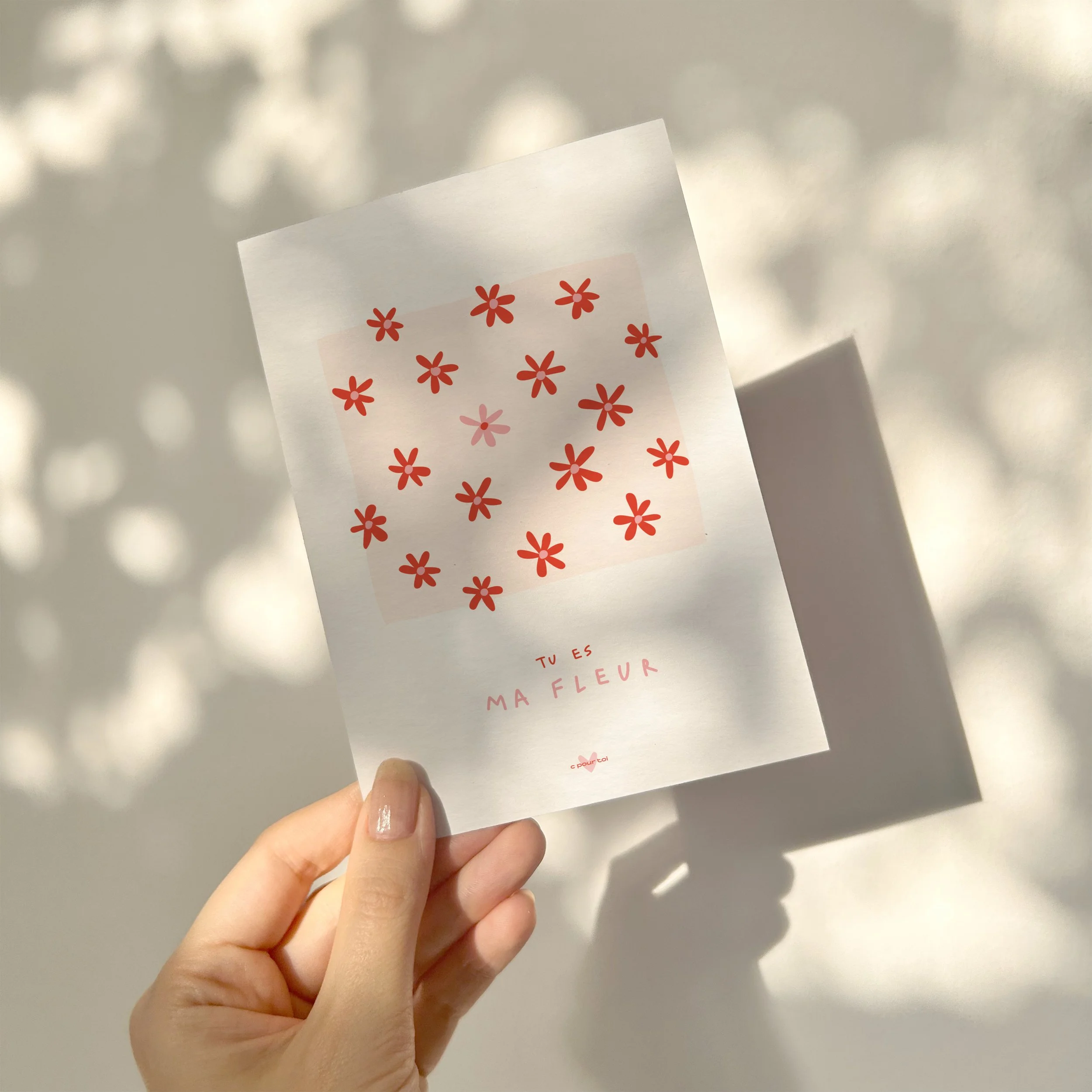 ma fleur rose.jpg
