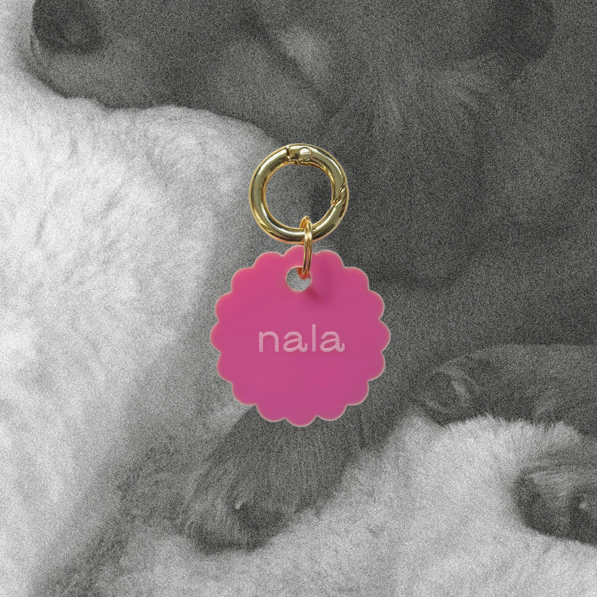 BLOOM — Médaille personnalisée chien & chat