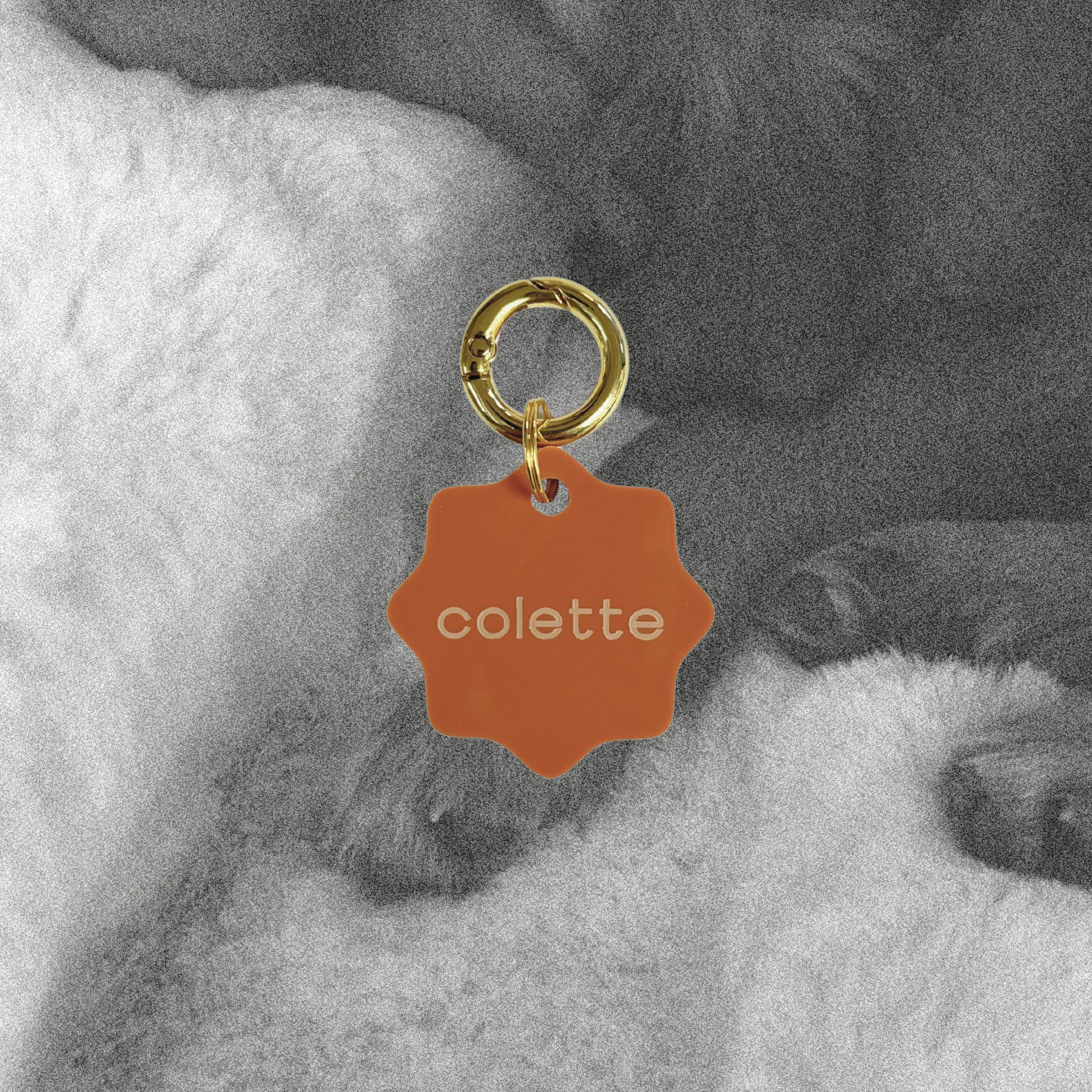 MÉDAILLE AURA 1.jpg