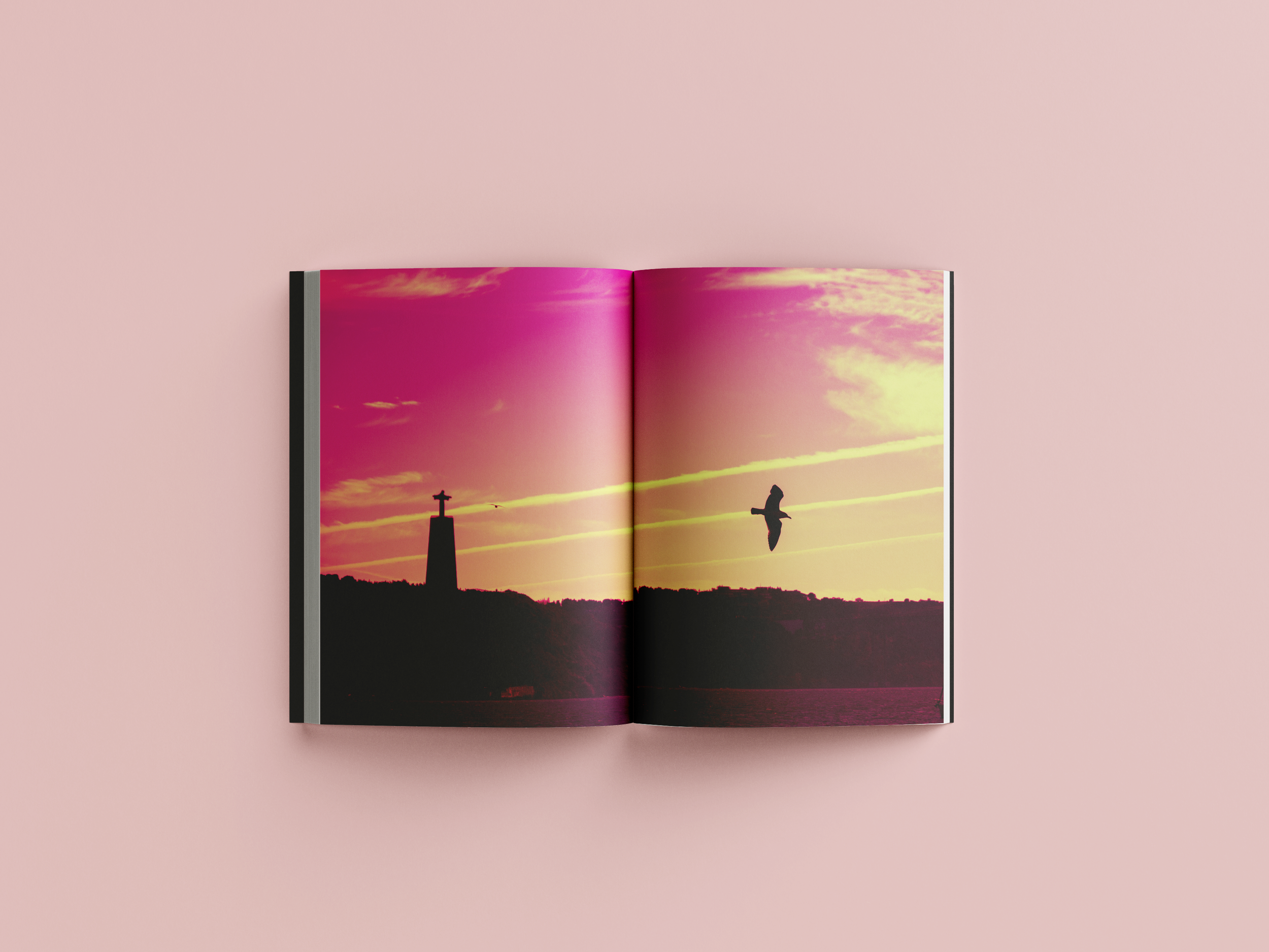 inner pages 1.png