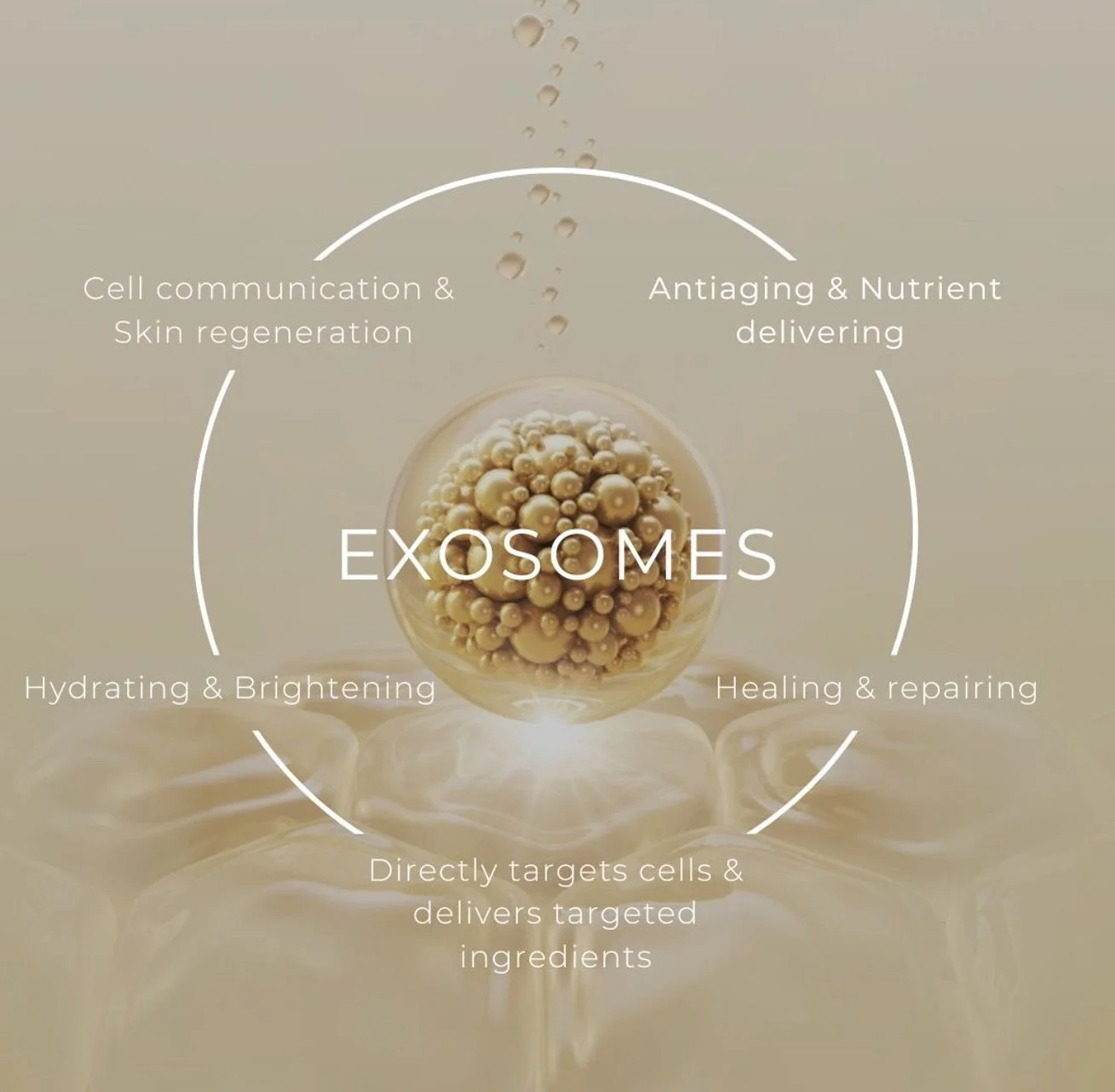 E X O S O M E S 

What are exosomes?
They&rsquo;re tiny but mighty nano-vesicles that carry powerful signals to your skin cells: stimulating collagen production, enhancing cell repair, and restoring youthful radiance from the inside out

Introducing 