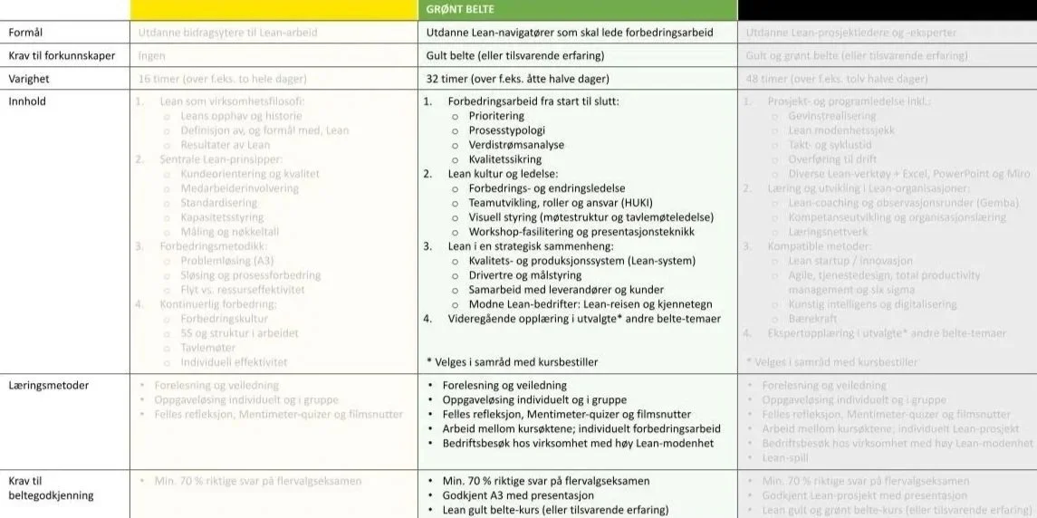 Et bilde av et sammensatt regneark eller tabell med fargerike kolonne- og radoverskrifter, samt tekst i flere rader og kolonner, sannsynligvis brukt til presentasjon eller analyse.